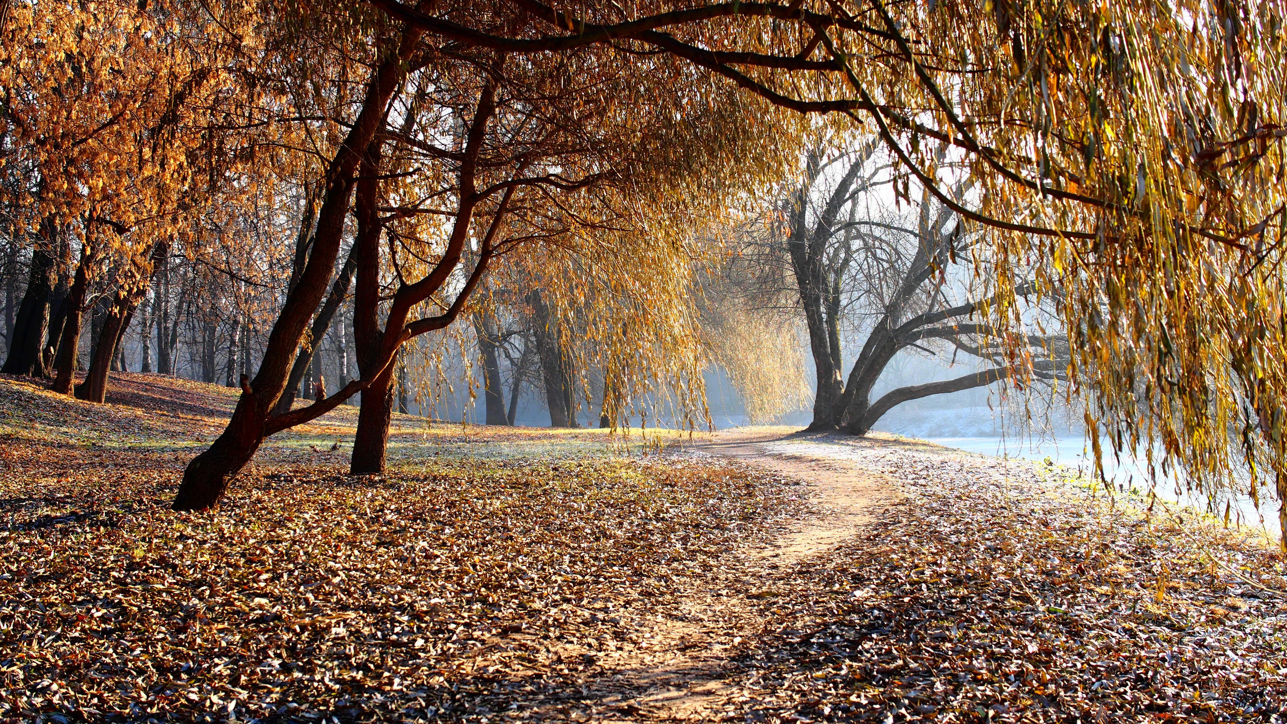 Атмосферные фотографии природы. Съёмка документальных и корпоративных фильмов с индивидуальным подходом