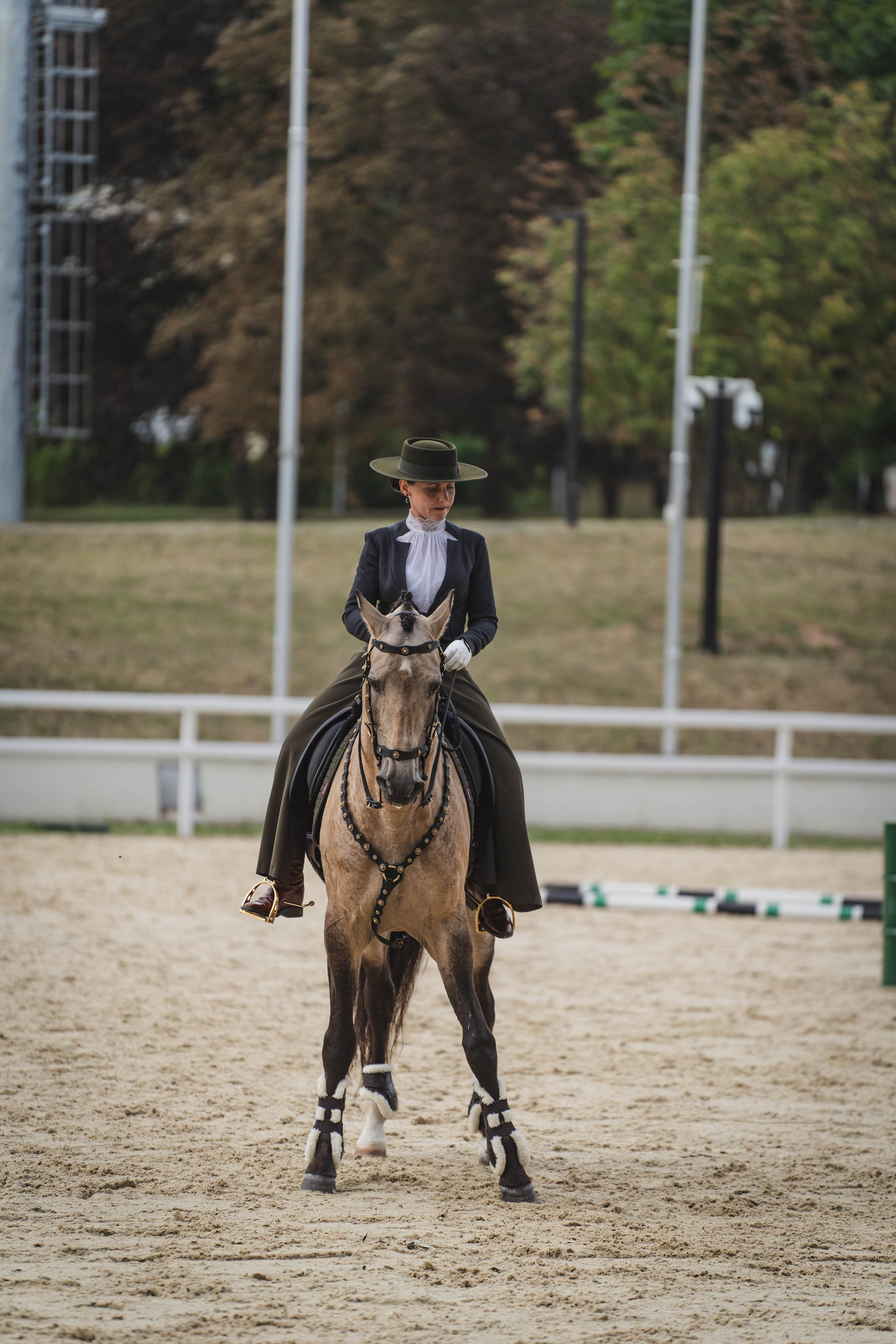 Мастер-класс по рабочей выездке. Фотограф в Москве Ленарская Дарья