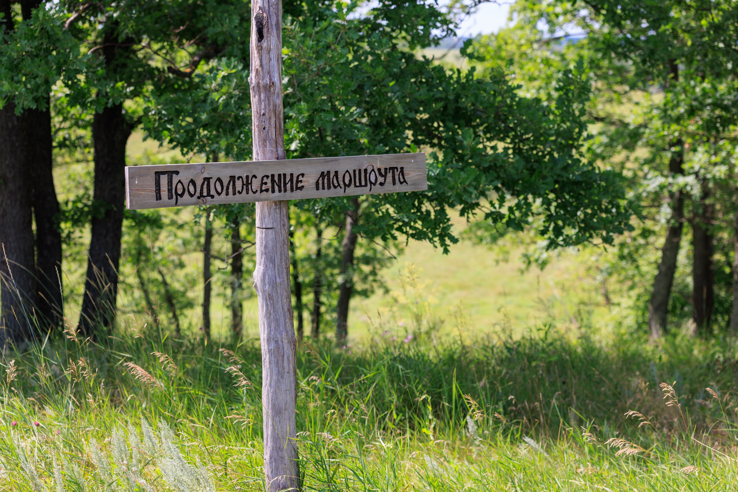 «Горная страна в миниатюре» — экологическая тропа в Аргамач-Пальна. Профессиональный фотограф в Воронеже | Липецке | Тамбове — Алексей Зайцев