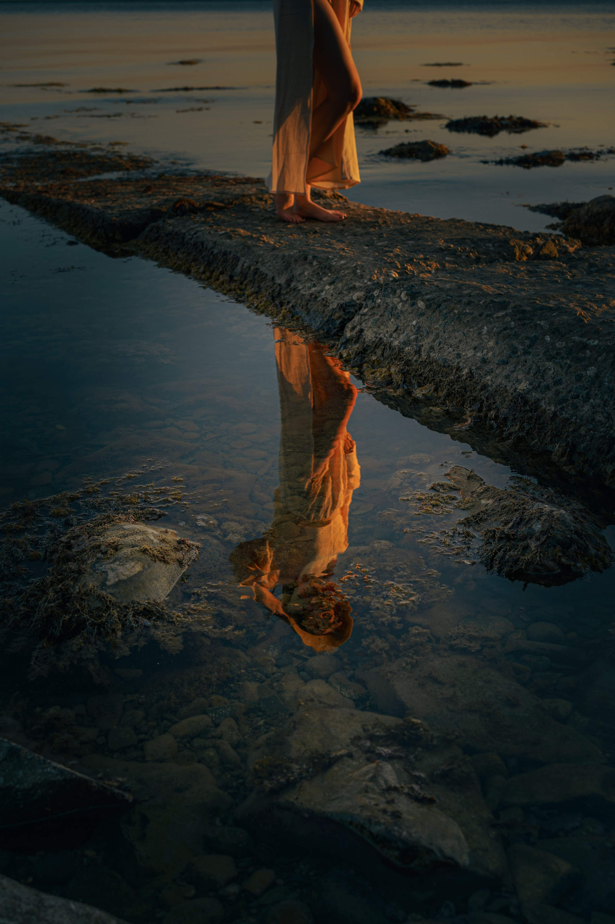 Лиса на море 🦊. Свадебный и репортажный фотограф Ростов-на-Дону Алексей Гуль