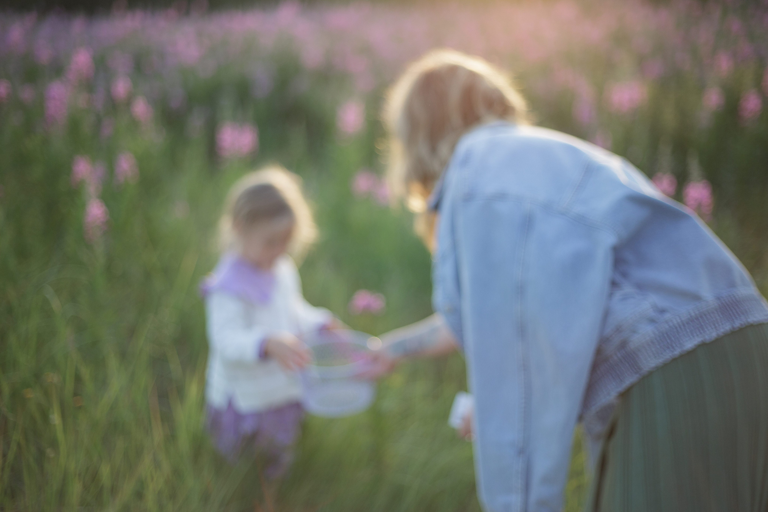 Семейная фотосъемка в поле летом 2023. Марина Рерих — портретный фотограф в Екатеринбурге