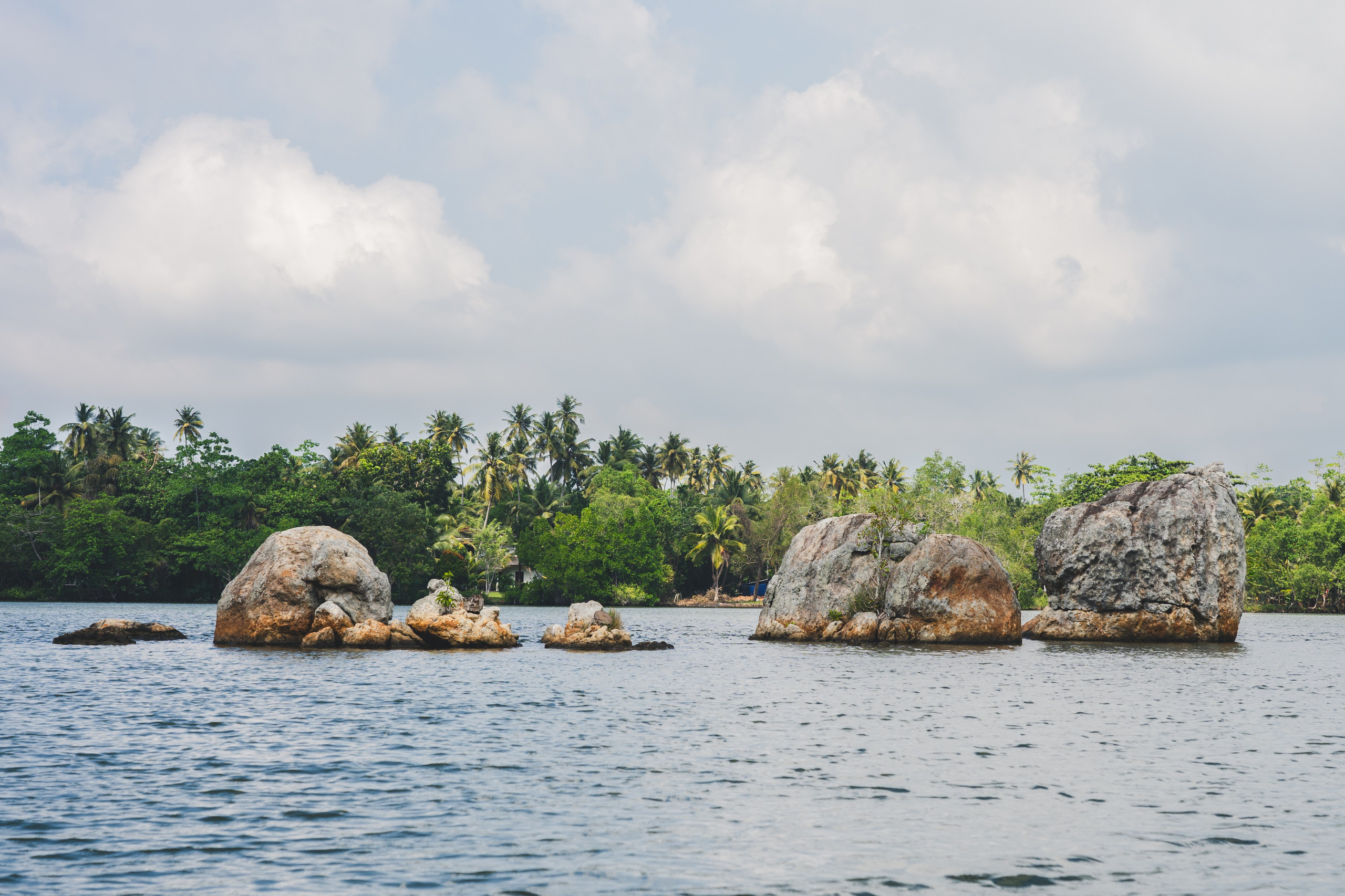 Шри-Ланка 2025. Легкая фотография