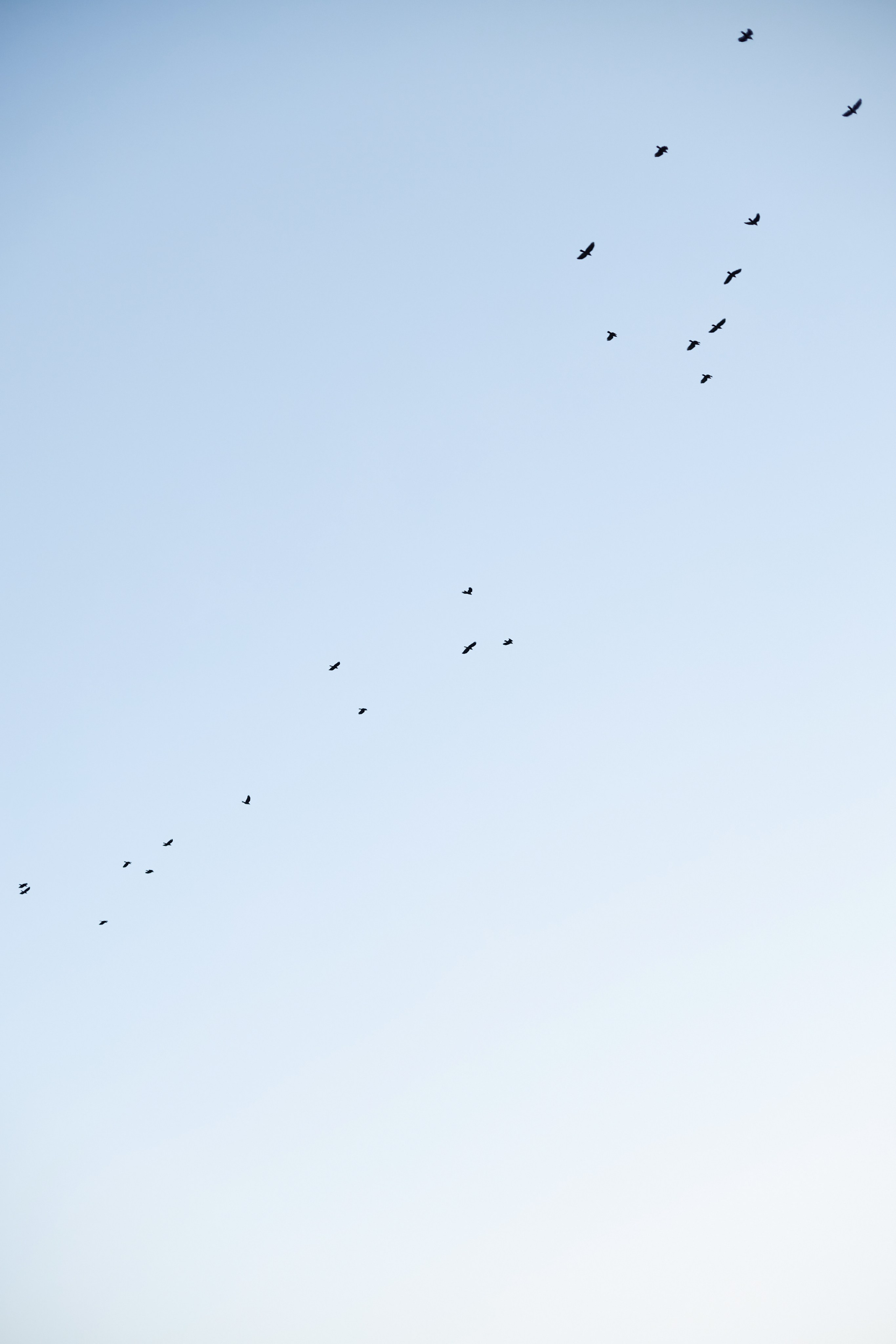 Семейная фото прогулка. Фотограф в Хабаровске Голотовская Дарья