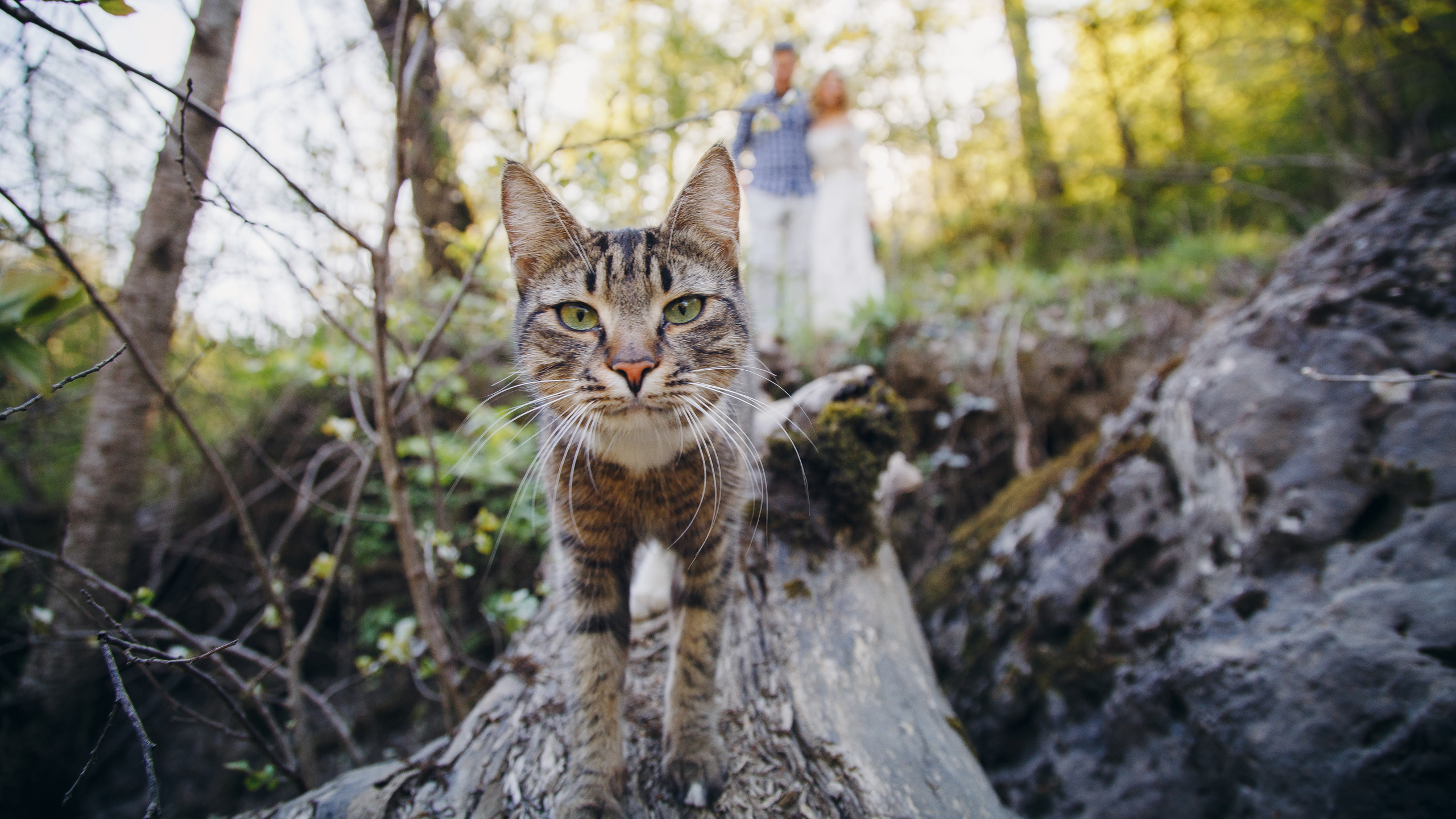 Свадебная фотосьемка. Выездная love-story фотосессия.