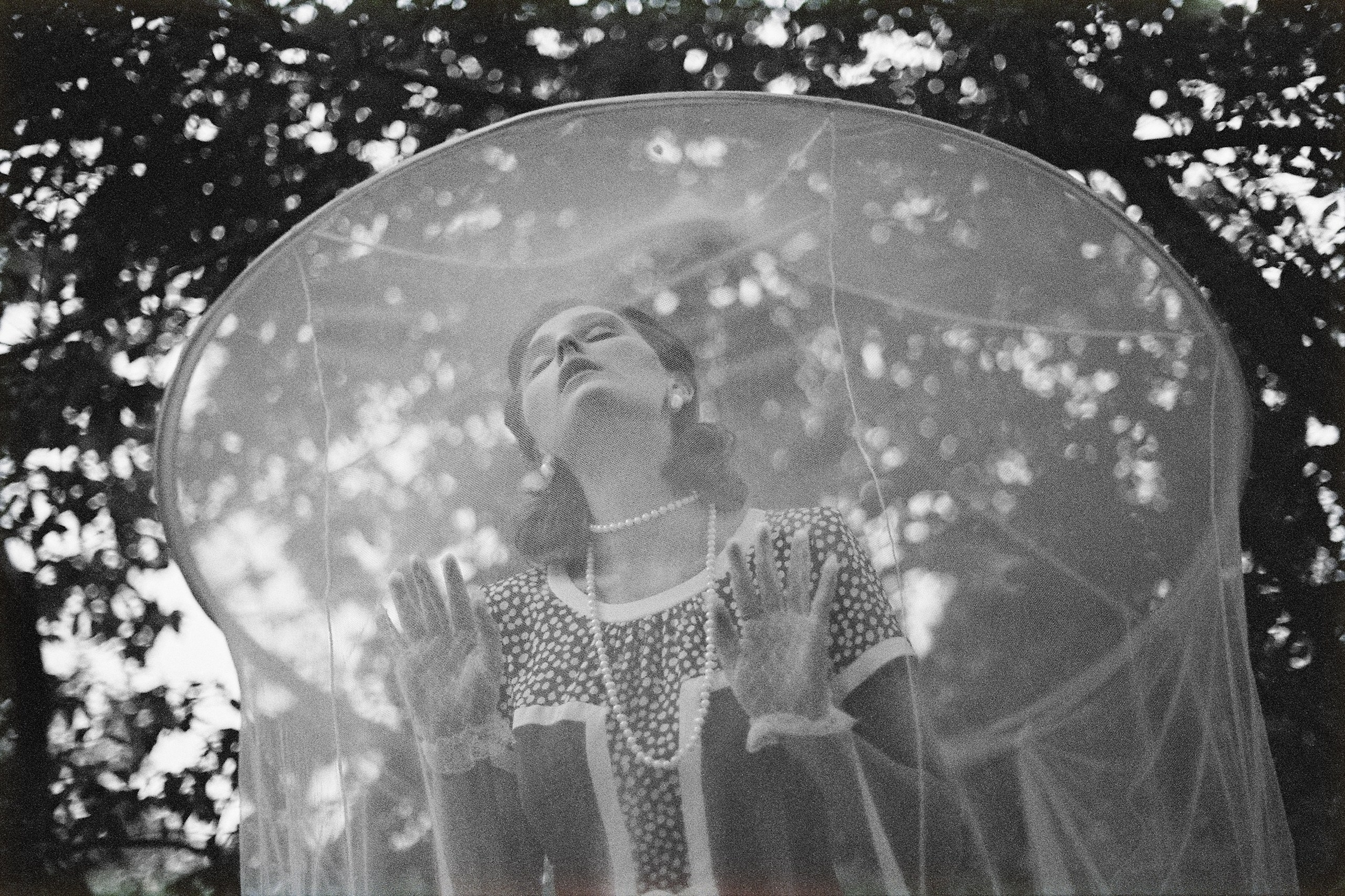 Черно-белый портрет девушки, которая находится в летнем сетчатом шатре