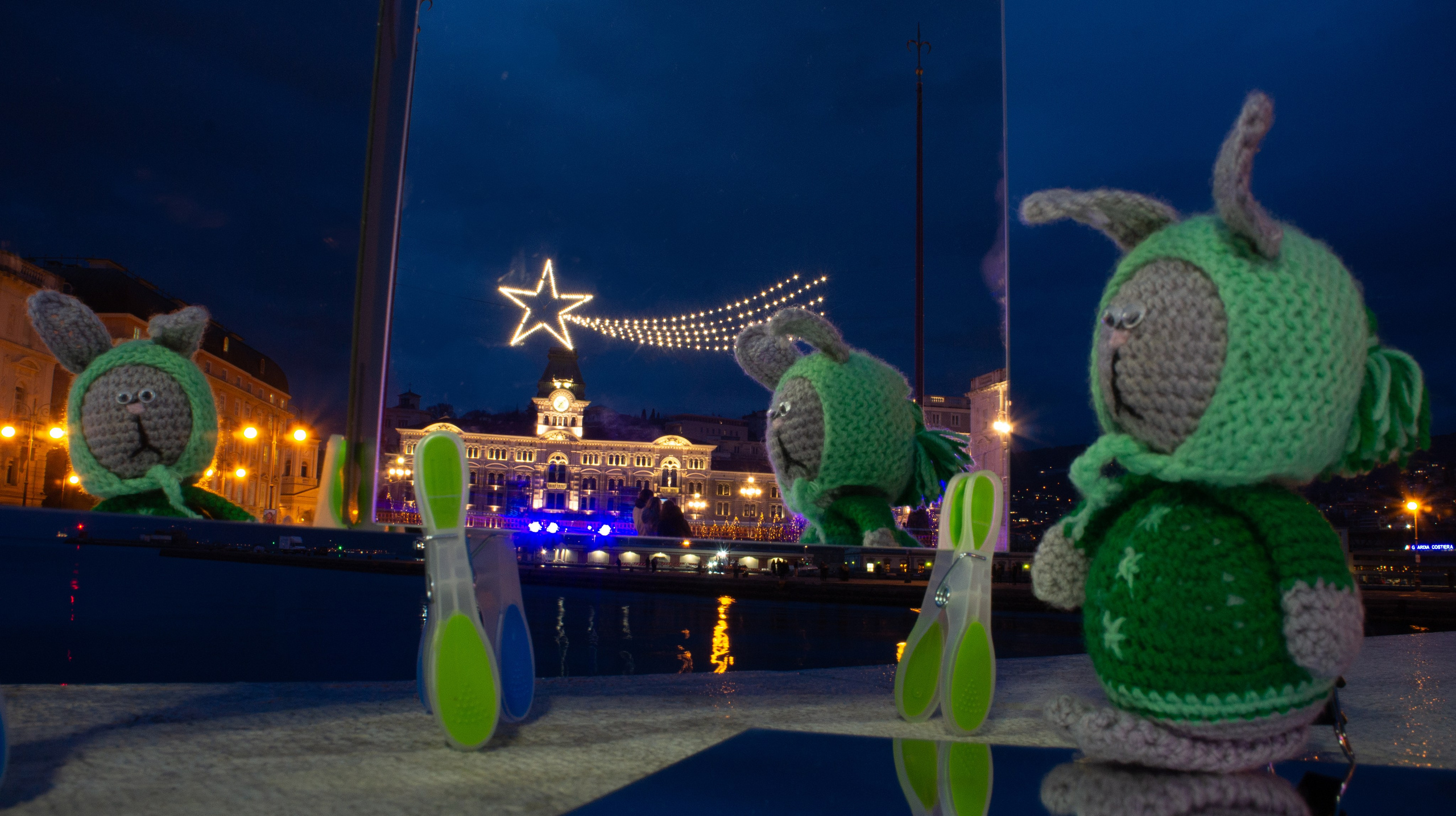 Mio leprotto. Fotografo Alina Imanbaeva Trieste e FVG