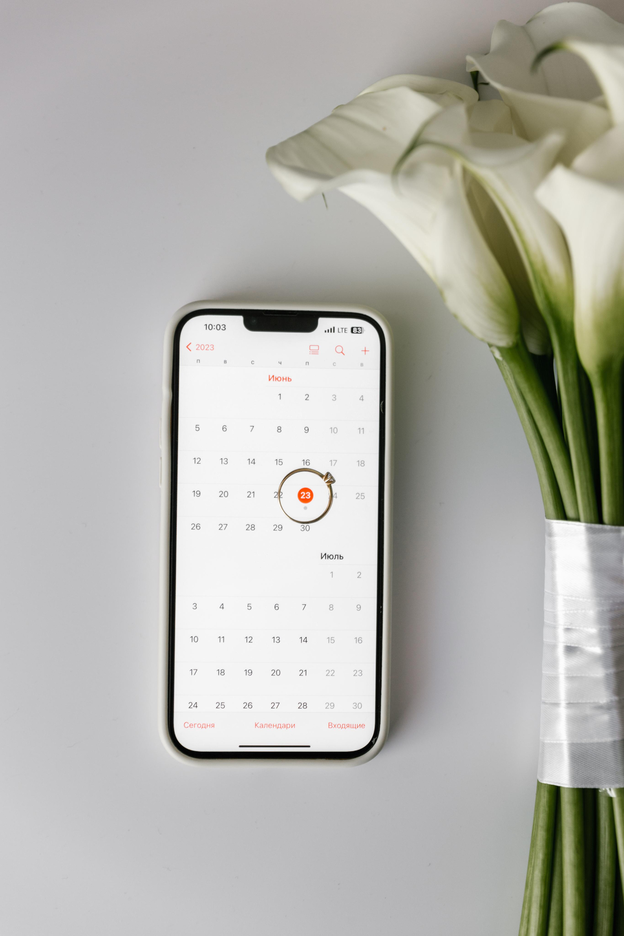 Захар и Ангелина. Свадебный фотограф в Пятигорске и КМВ Софья Аджикеримова