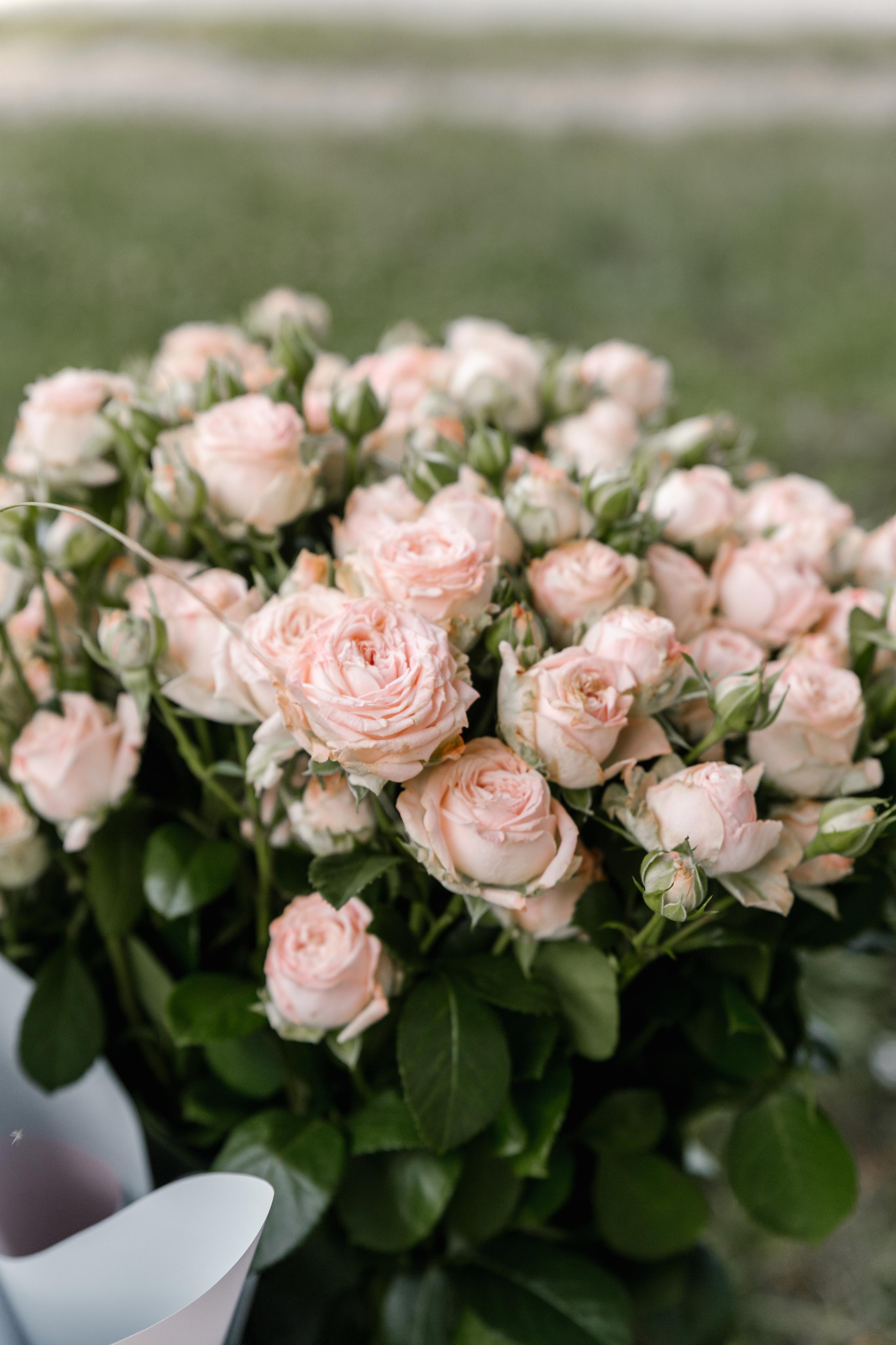 Сюрприз на 30 лет брака. Свадебный фотограф в Пятигорске и КМВ Софья Аджикеримова