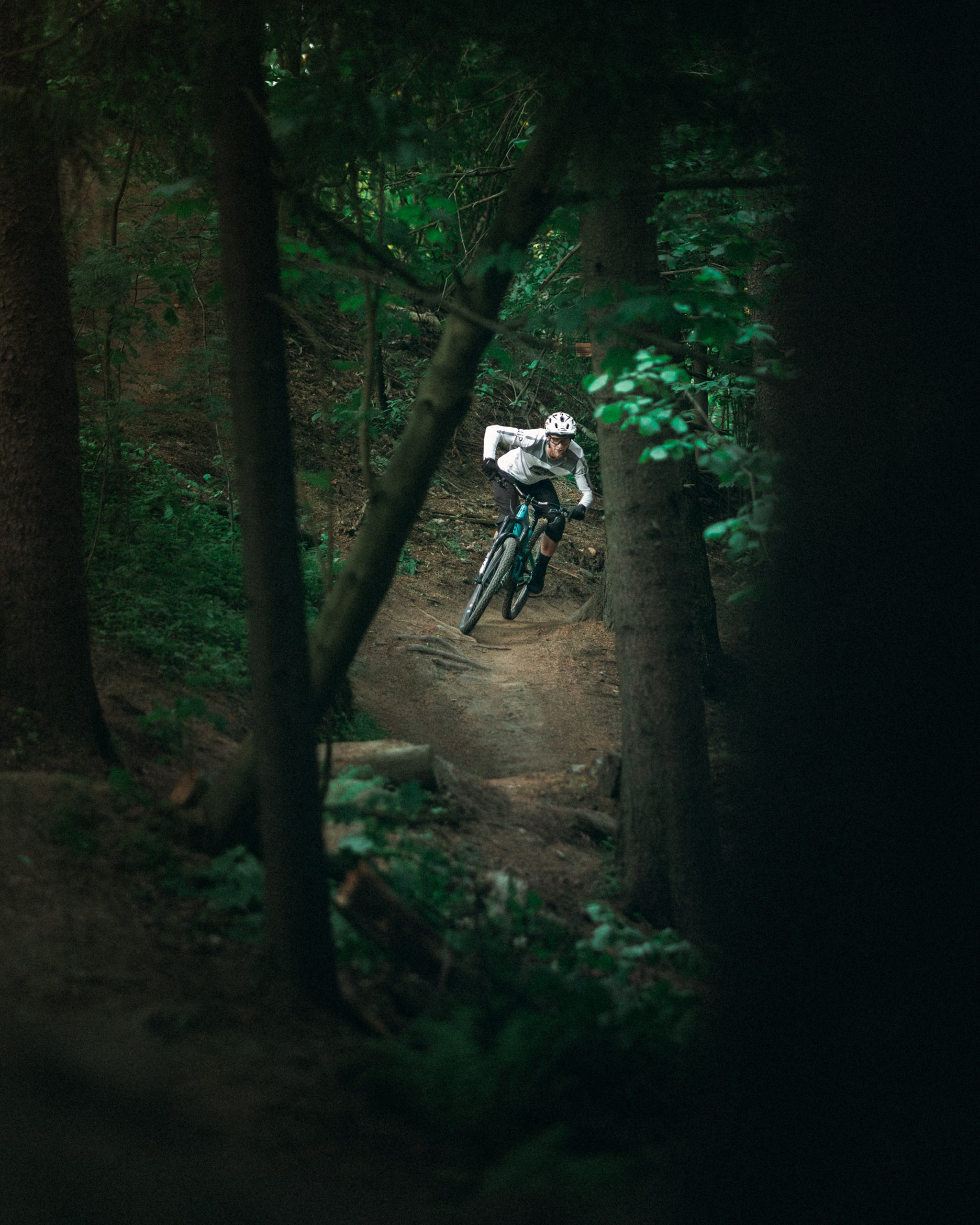 Саша и Ваня. Фотограф анималист Никита Натальный