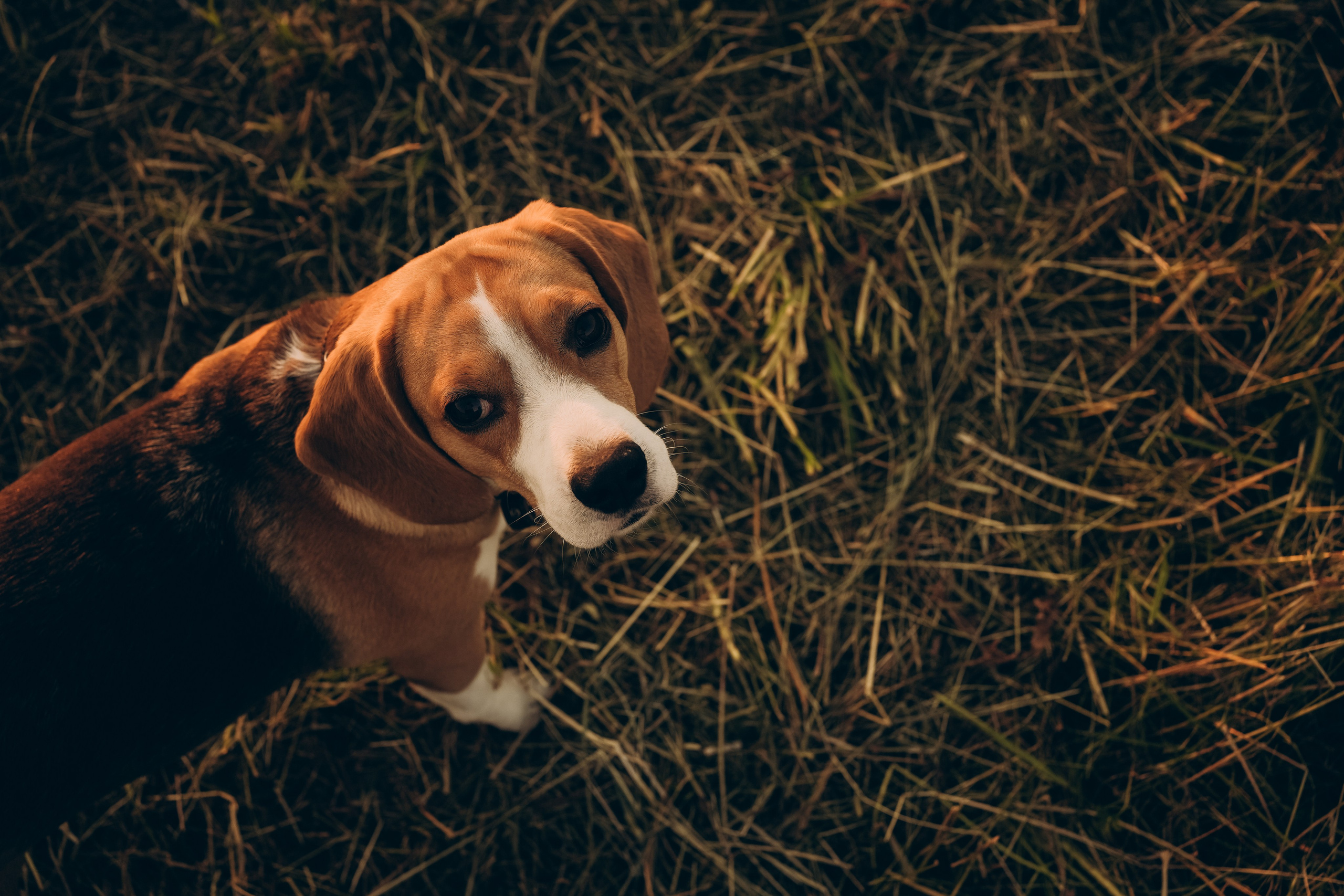 Анастасия и Катюша. Семейный и детский фотограф Плесецк, Мирный Марина Забабурина