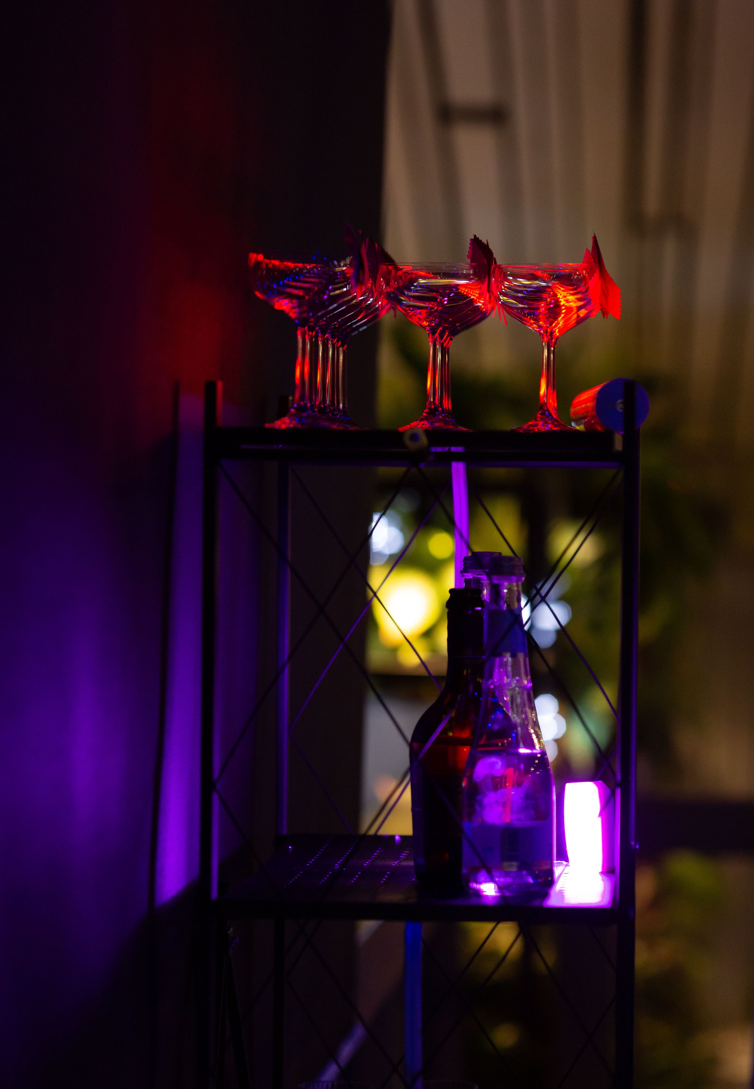 Корпоратив ресторан Времена года Москва. Семейный и детский фотограф Анна Петракова