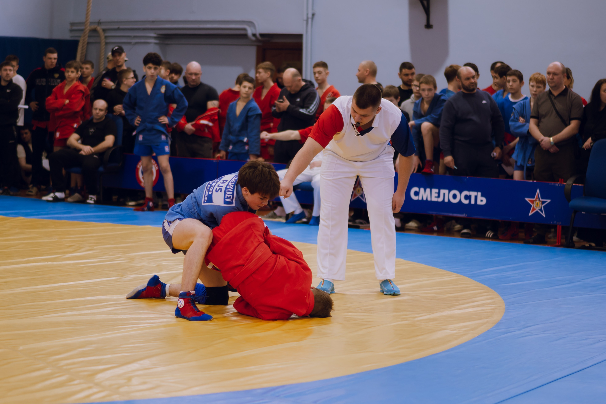 Соревнования по самбо 2026. Фотограф Надежда Погребняк | Рязань | Москва