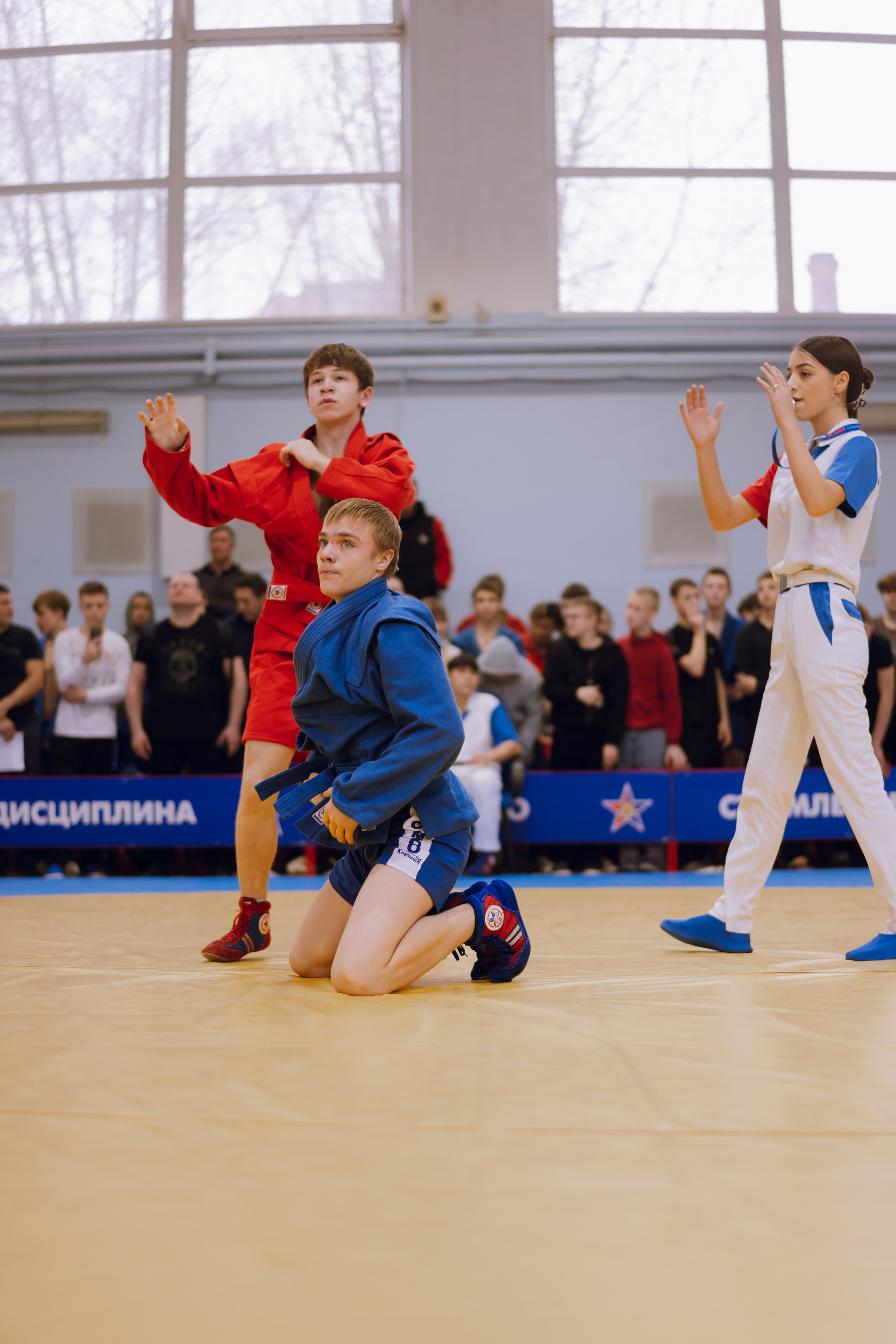 Соревнования по самбо 2026. Фотограф Надежда Погребняк | Рязань | Москва