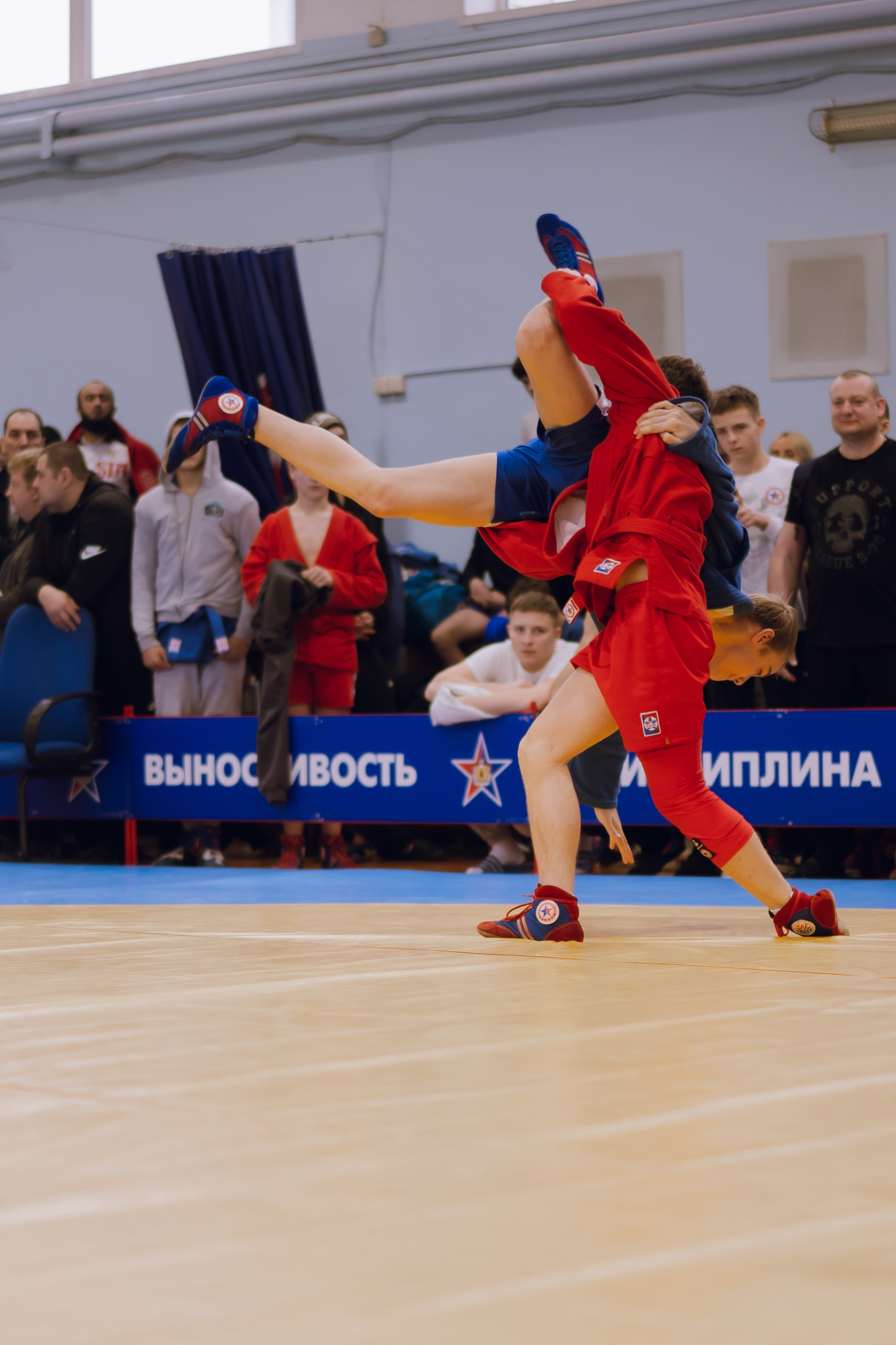 Соревнования по самбо 2026. Фотограф Надежда Погребняк | Рязань | Москва