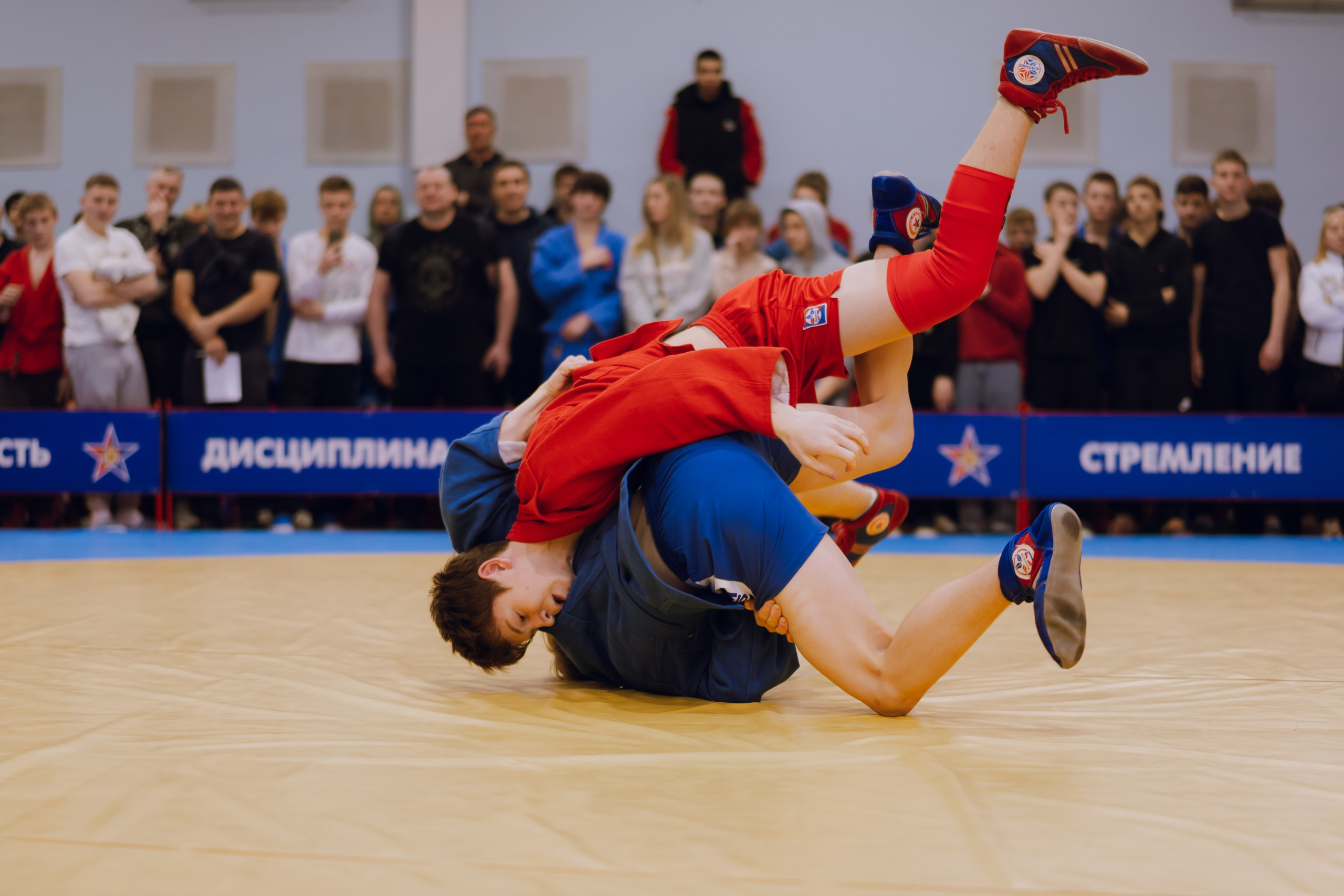 Соревнования по самбо 2026. Фотограф Надежда Погребняк | Рязань | Москва