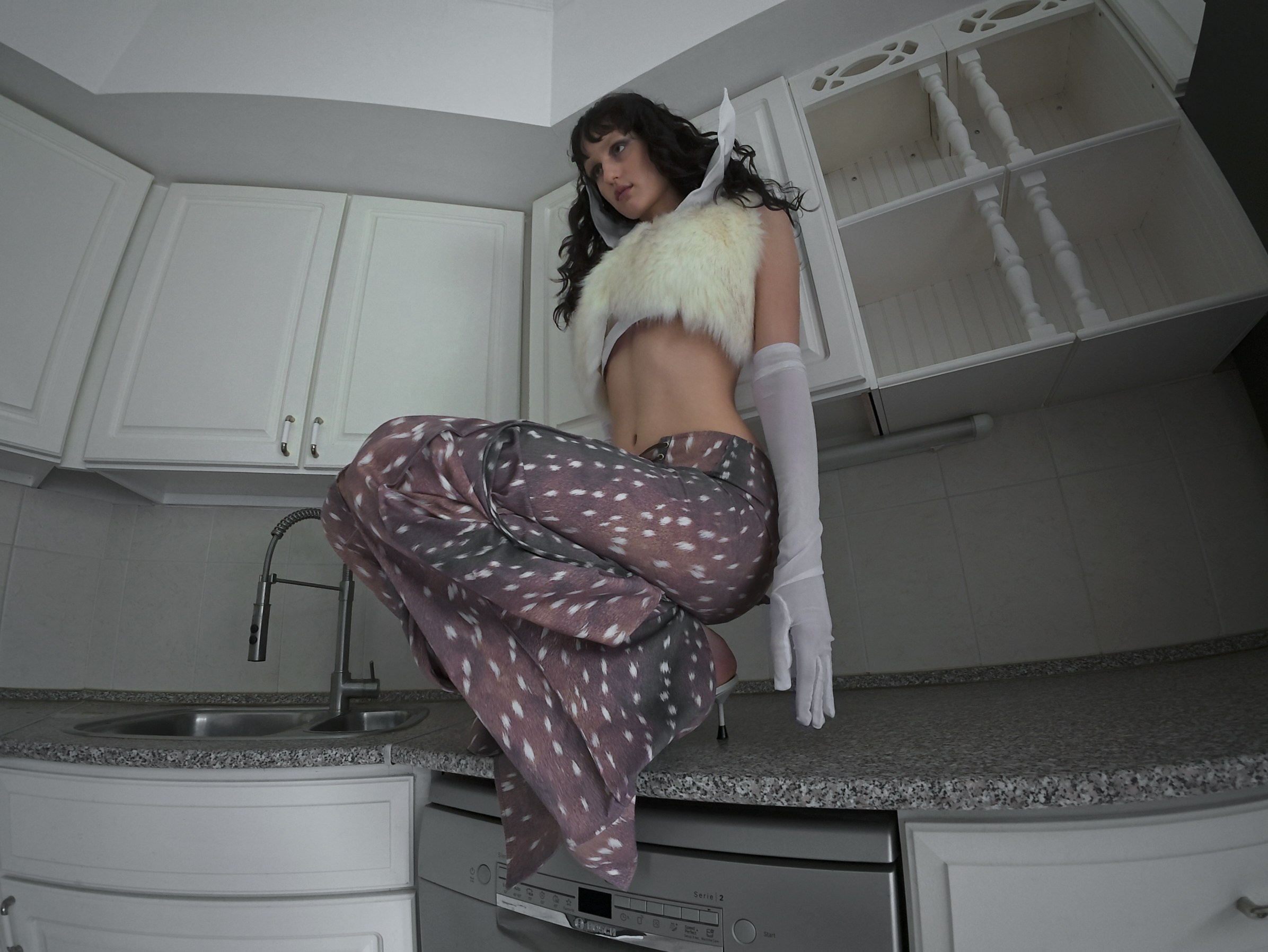 Diploma//bestiarii. Iliaarkhangelskii