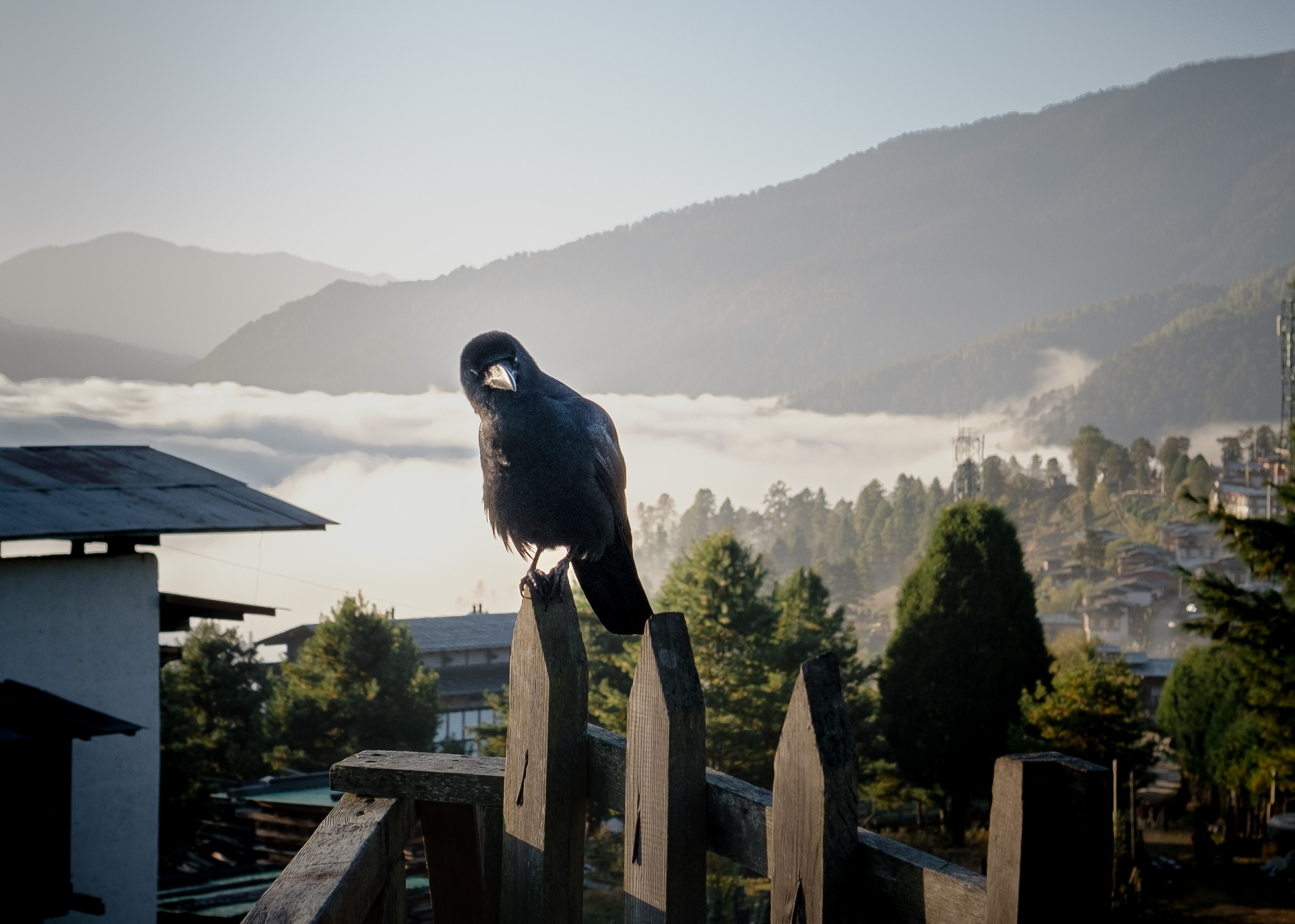 Bhutan. Dmitry Ippolitov