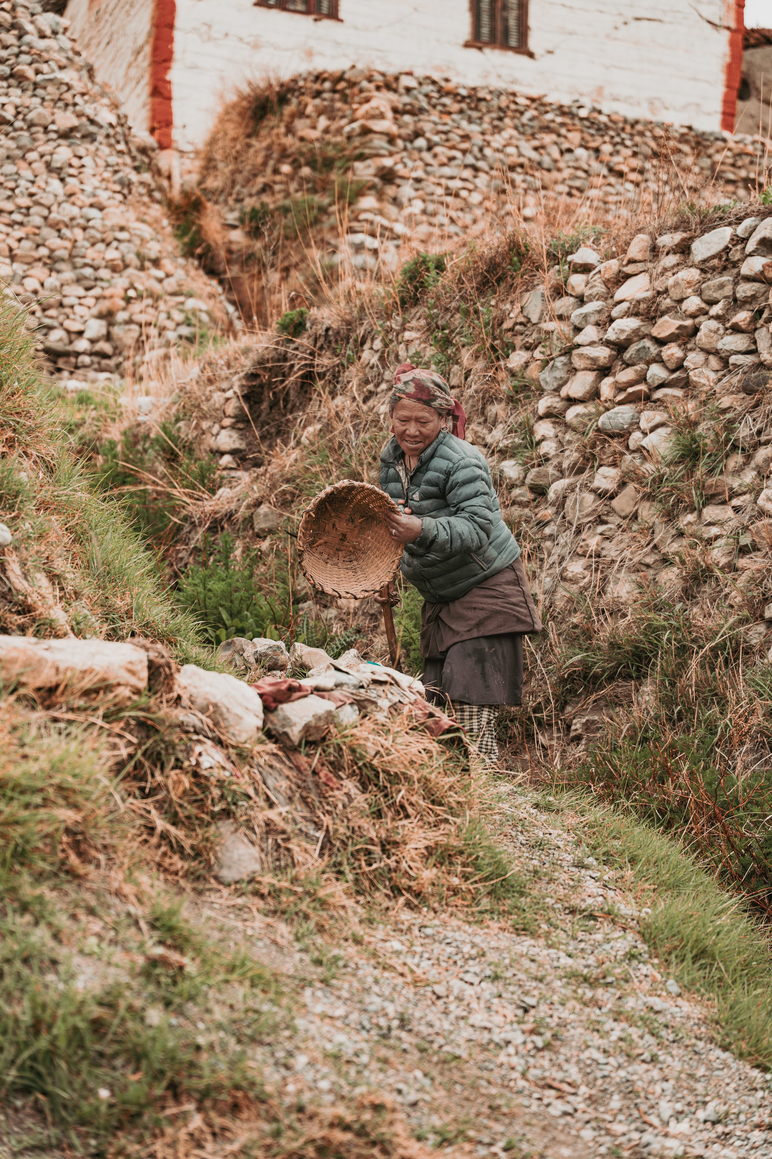Королевство Мустанг. Dmitry Ippolitov