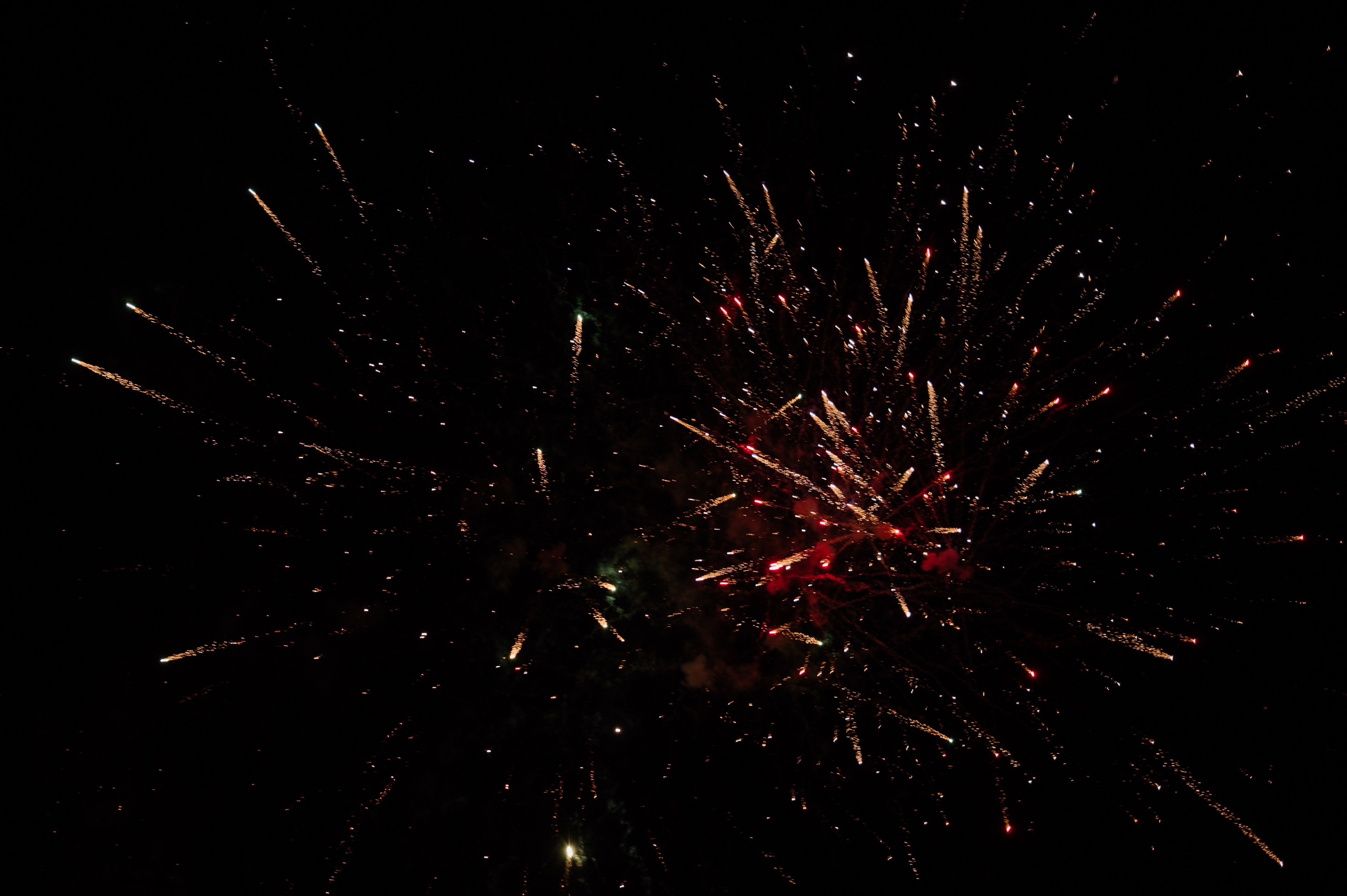 Егор и Олеся