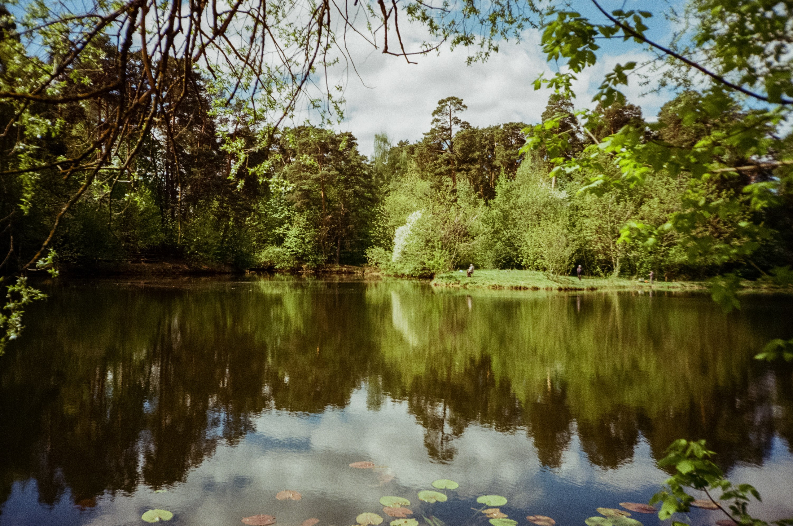 Ricoh R1 | Kodak ProImage 100 | 6 мая 2025 года СерБор