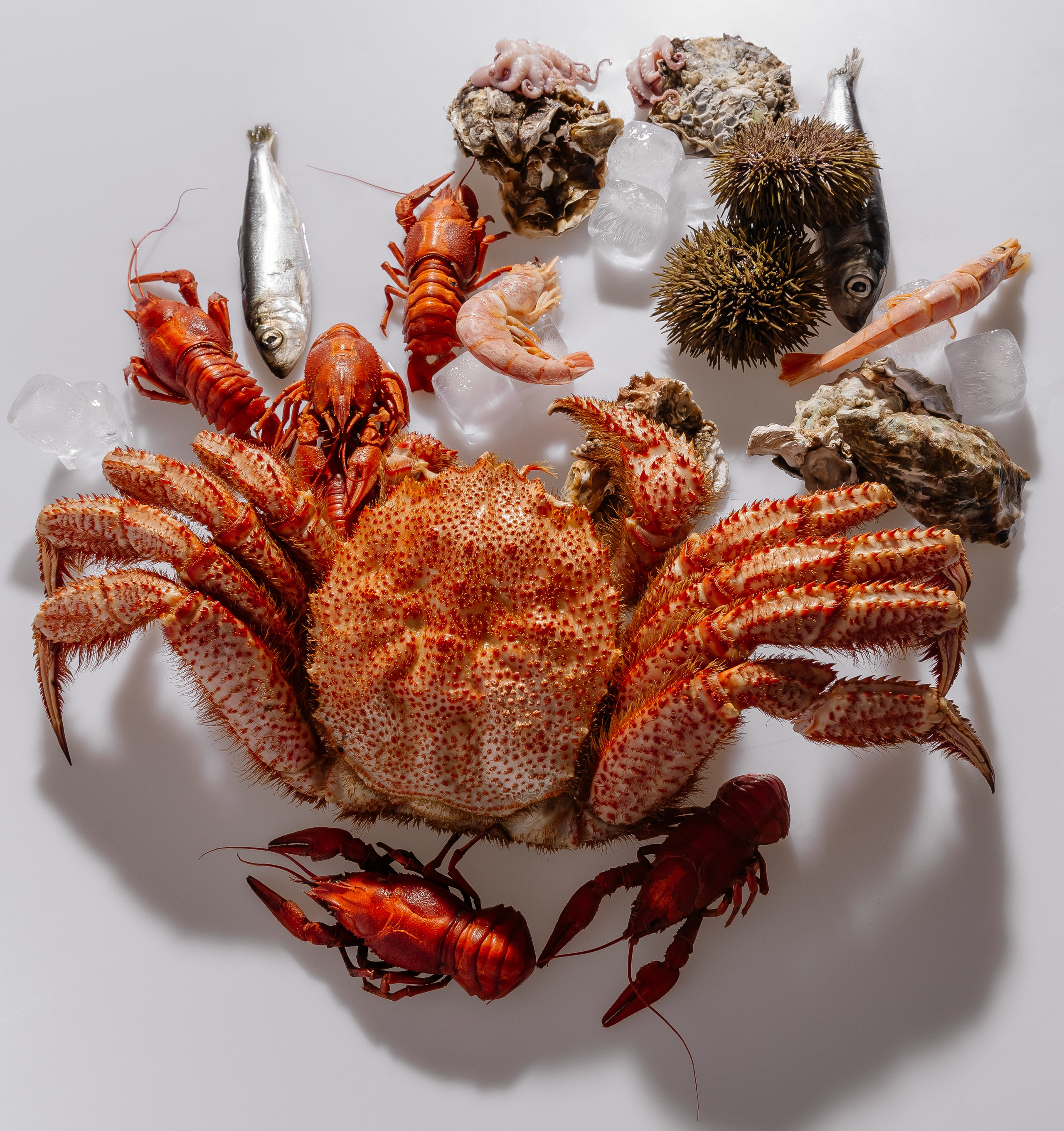 Splash.sea. Профессиональный фотограф Инесса Новикова в Москве