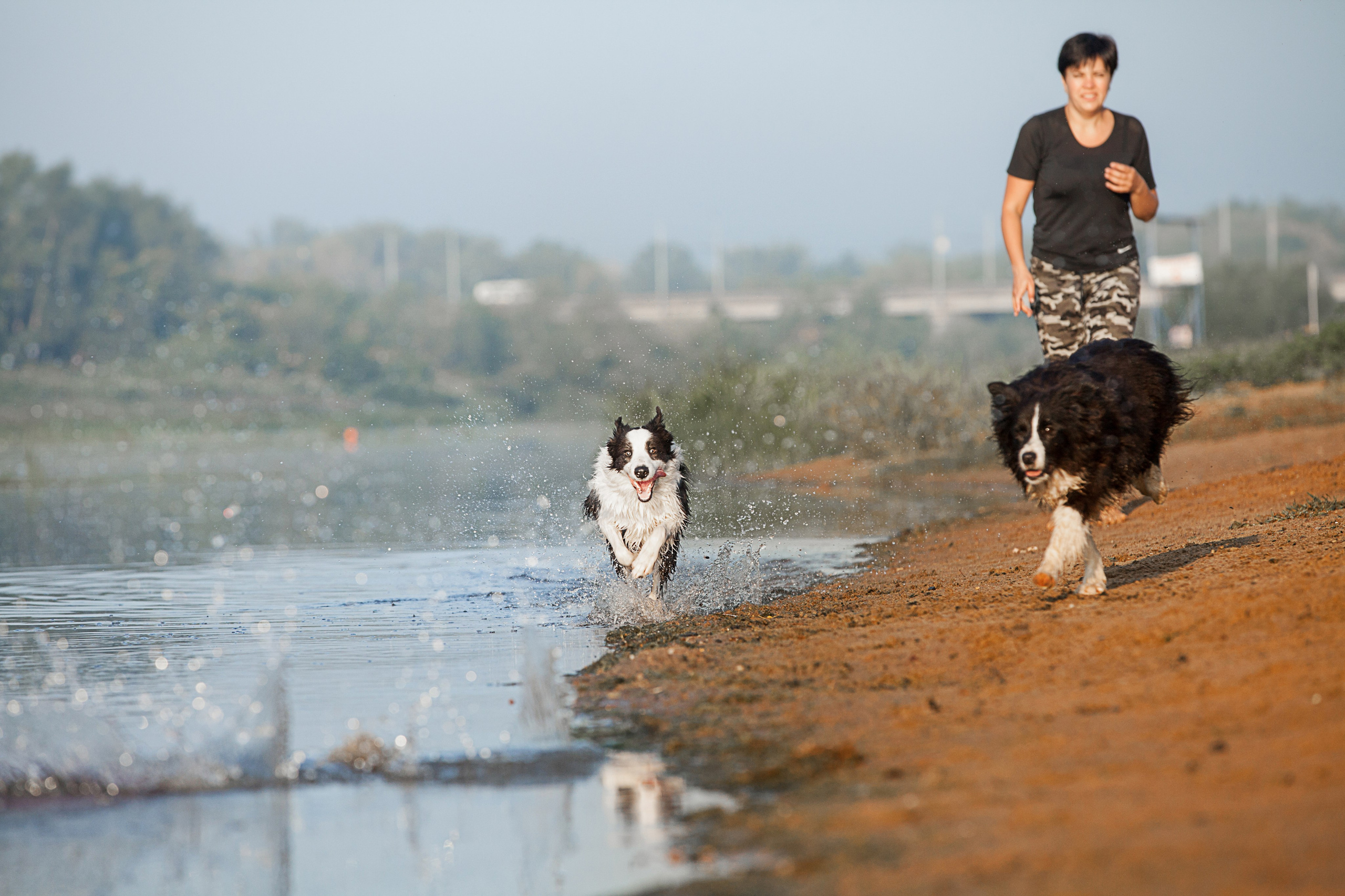 Сочный рассвет, на который решились. О нас