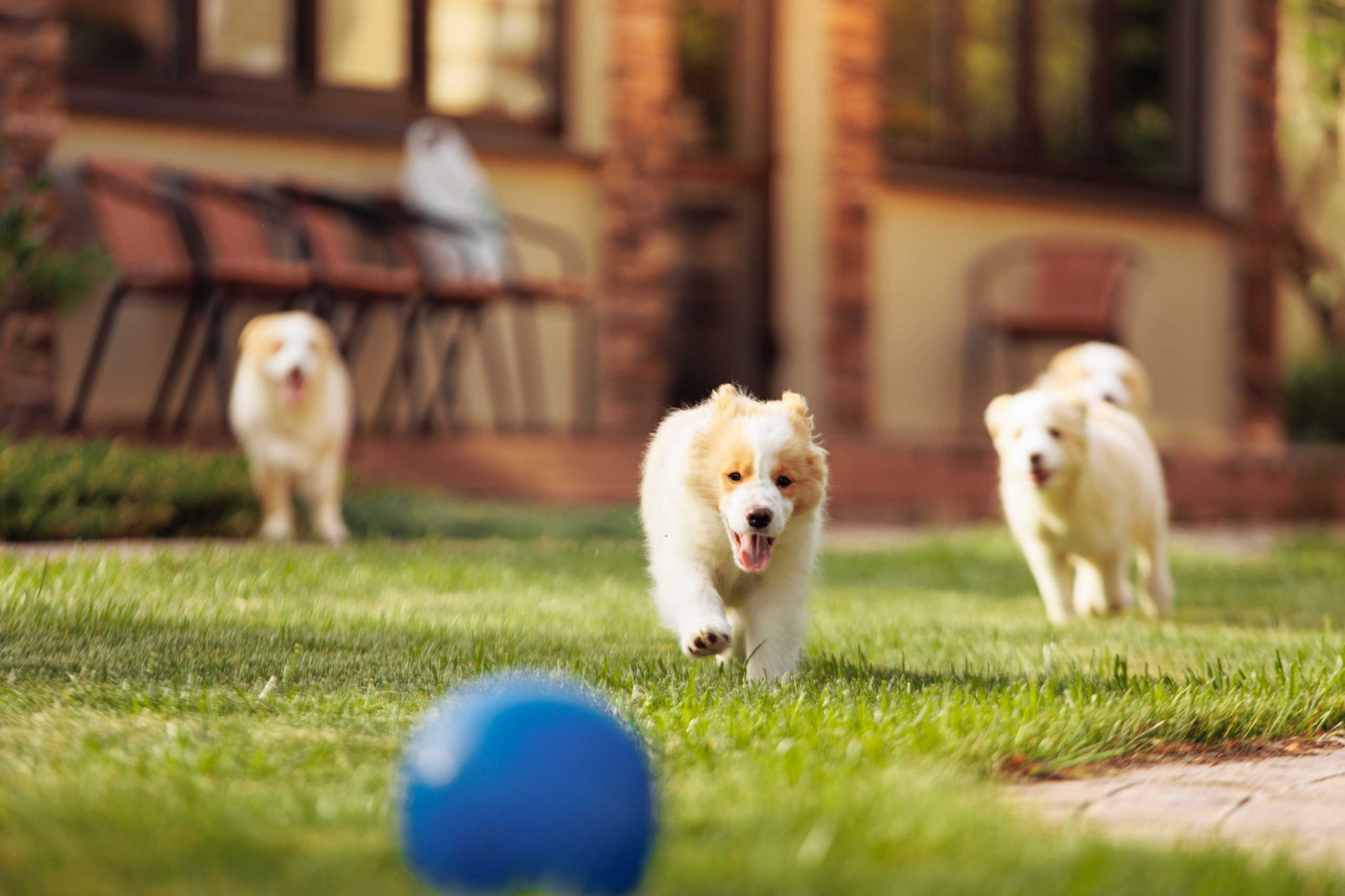 СОлнечные. О нас