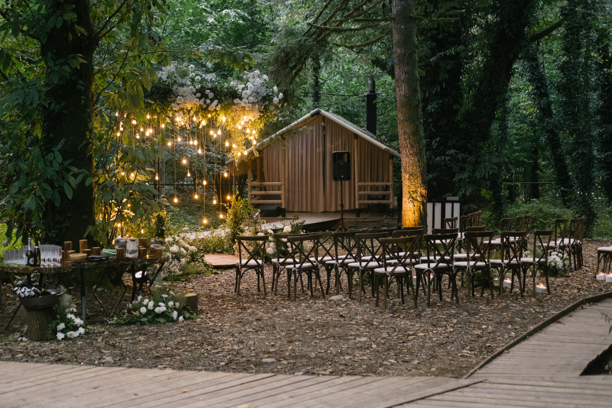 Кот и Дракон. Свадебный Видеограф Фотограф в Сочи