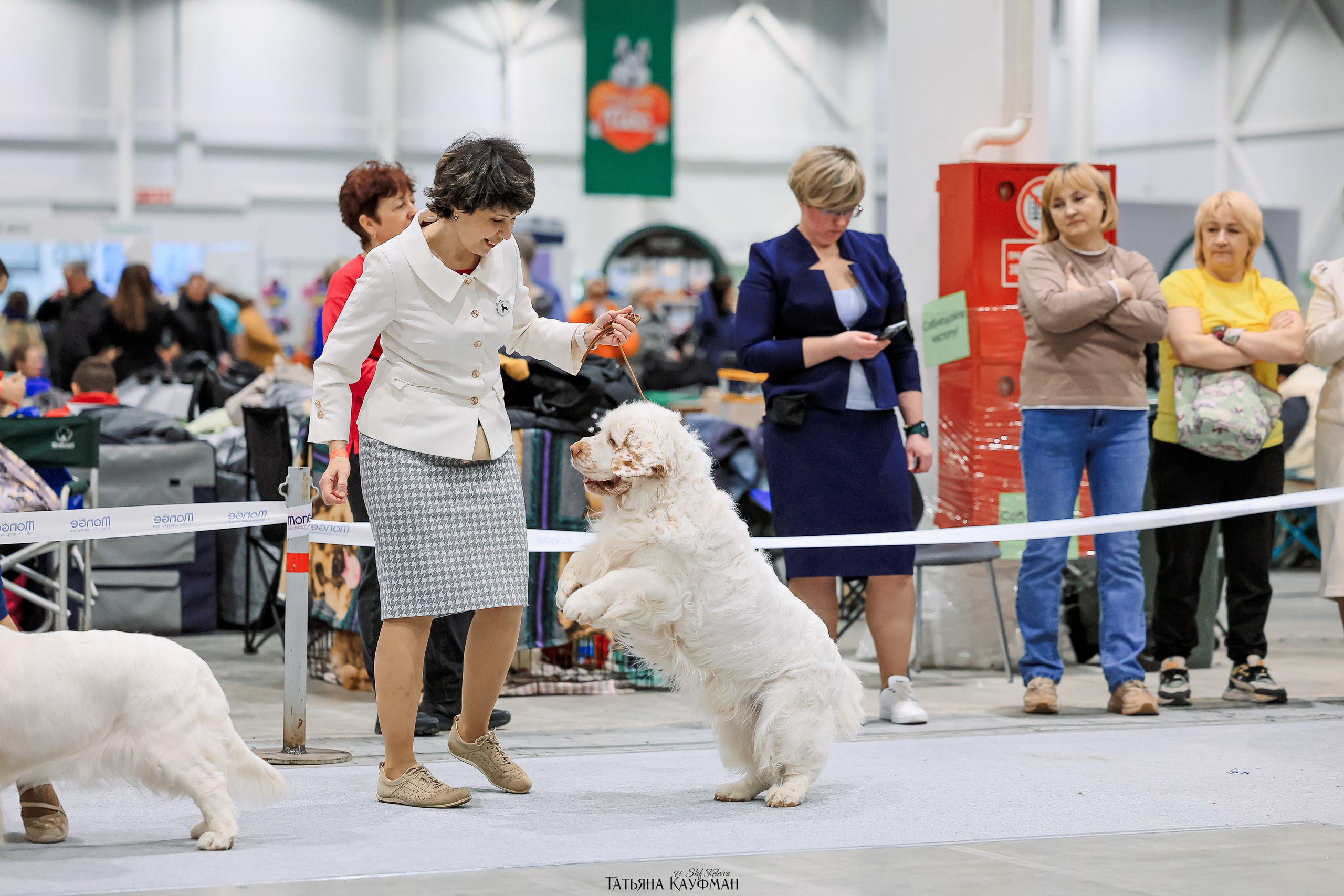 28-29.03.2026 Рейтинговая выставка в Новосибирске. Фотограф Анималист из Новосибирска Татьяна Кауфман