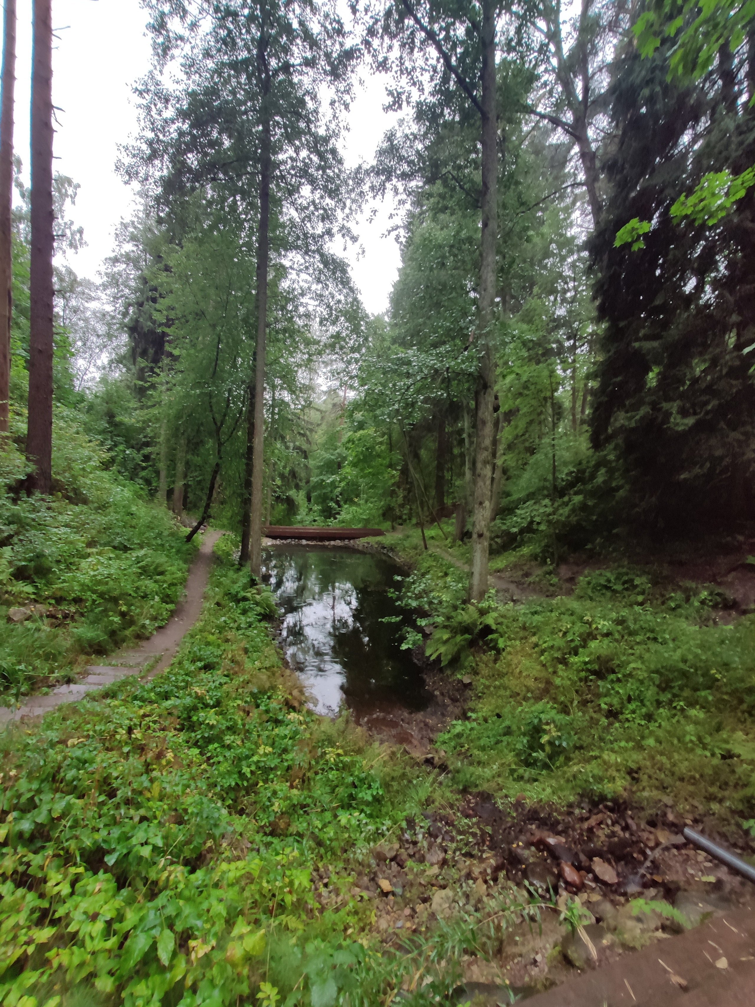 Еще одно любимое тихое место - экологическая тропа в Комарово
