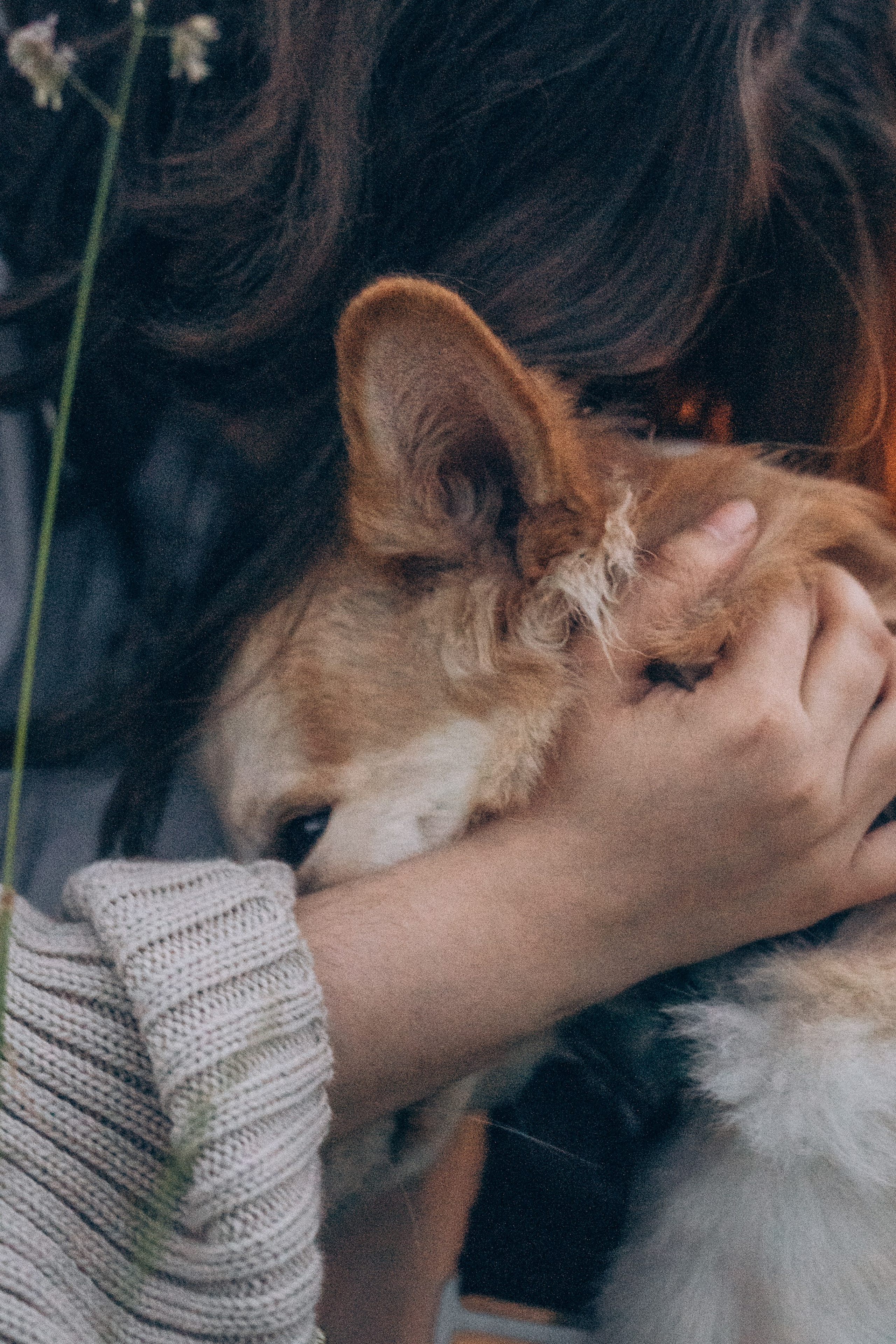 Соня и Кора. Фотограф анималист в Москве и Санкт-Петербурге Свиридова Анна