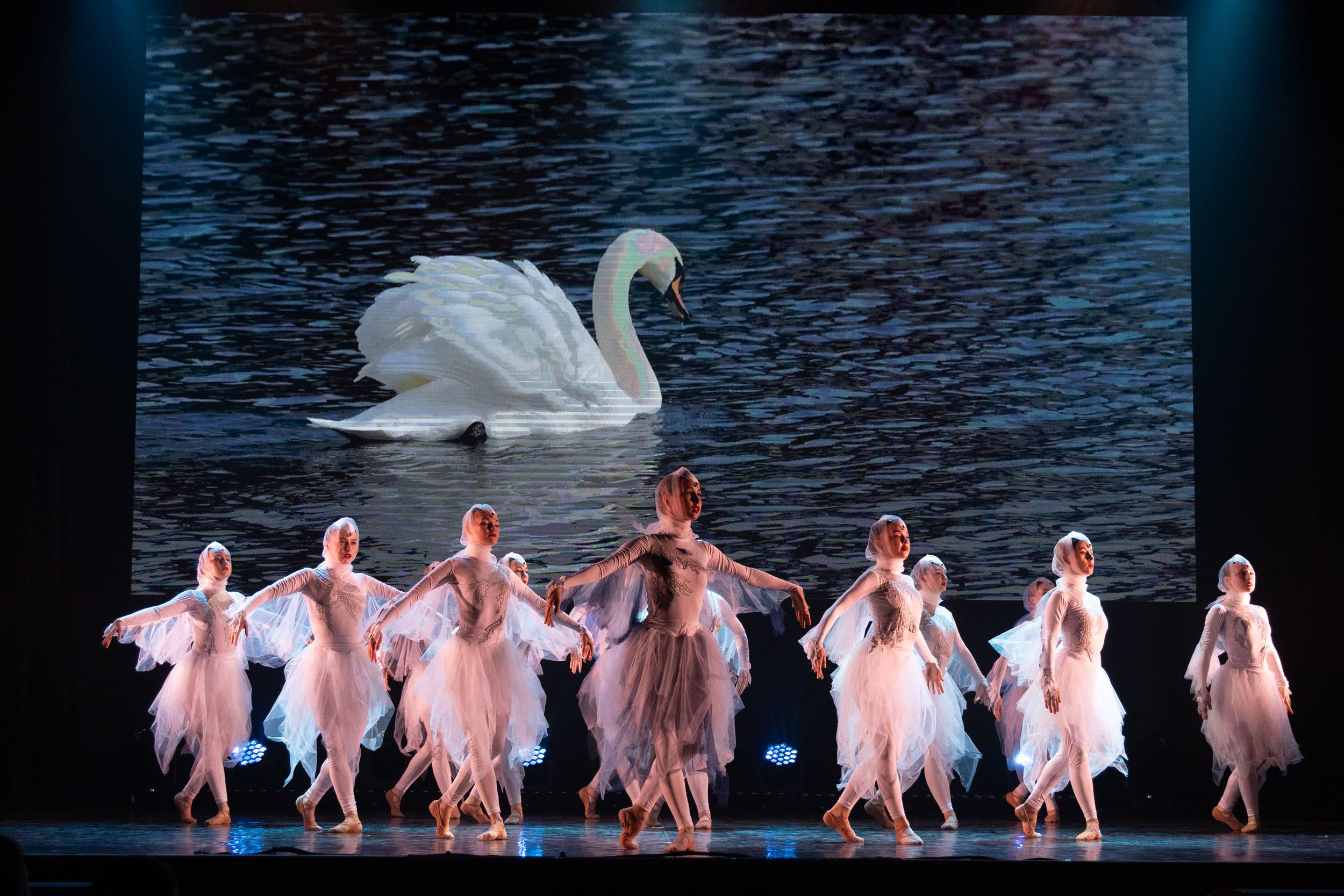 Юбилейный отчетный концерт хореографической мастерской