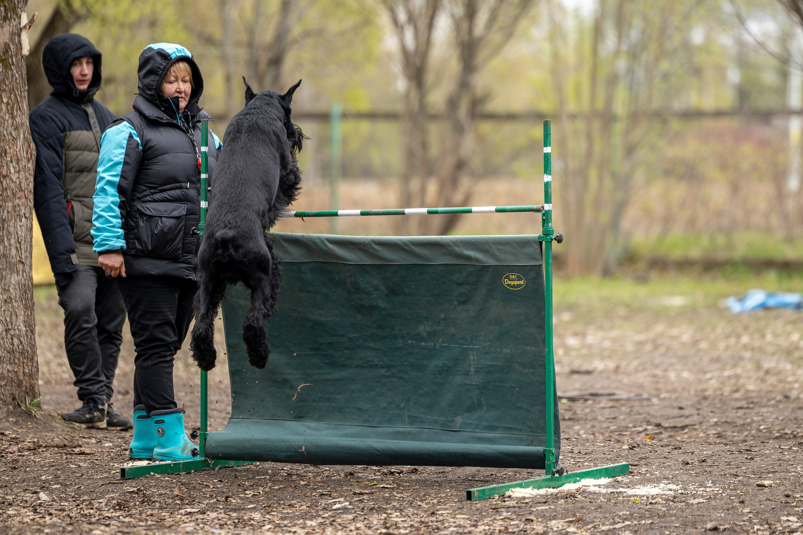 Квалификационные состязания по мондьорингу г. Вологда 11.05.24. Фотограф-анималист Анна Маринич