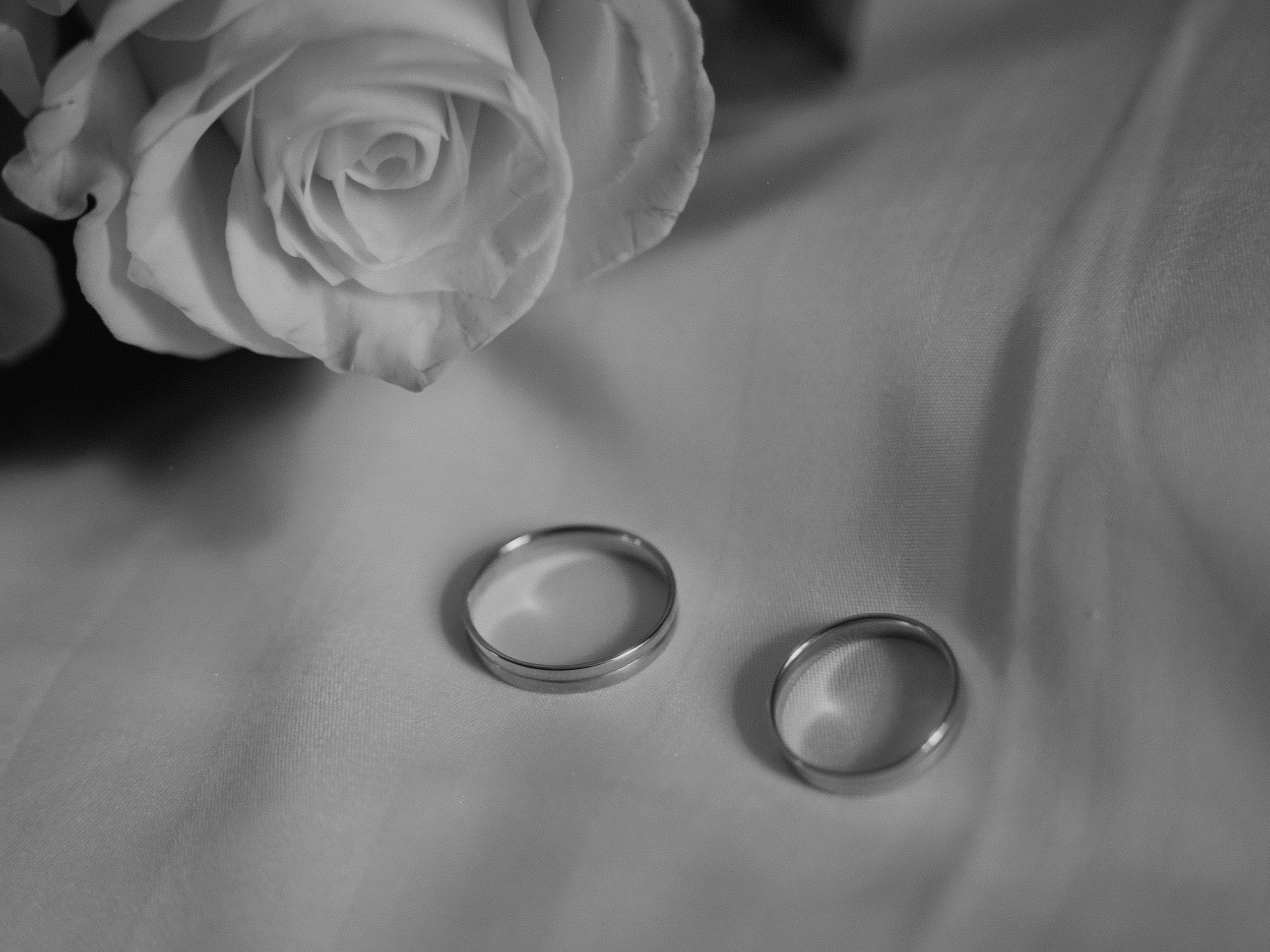 Каролина & Александр. Главная