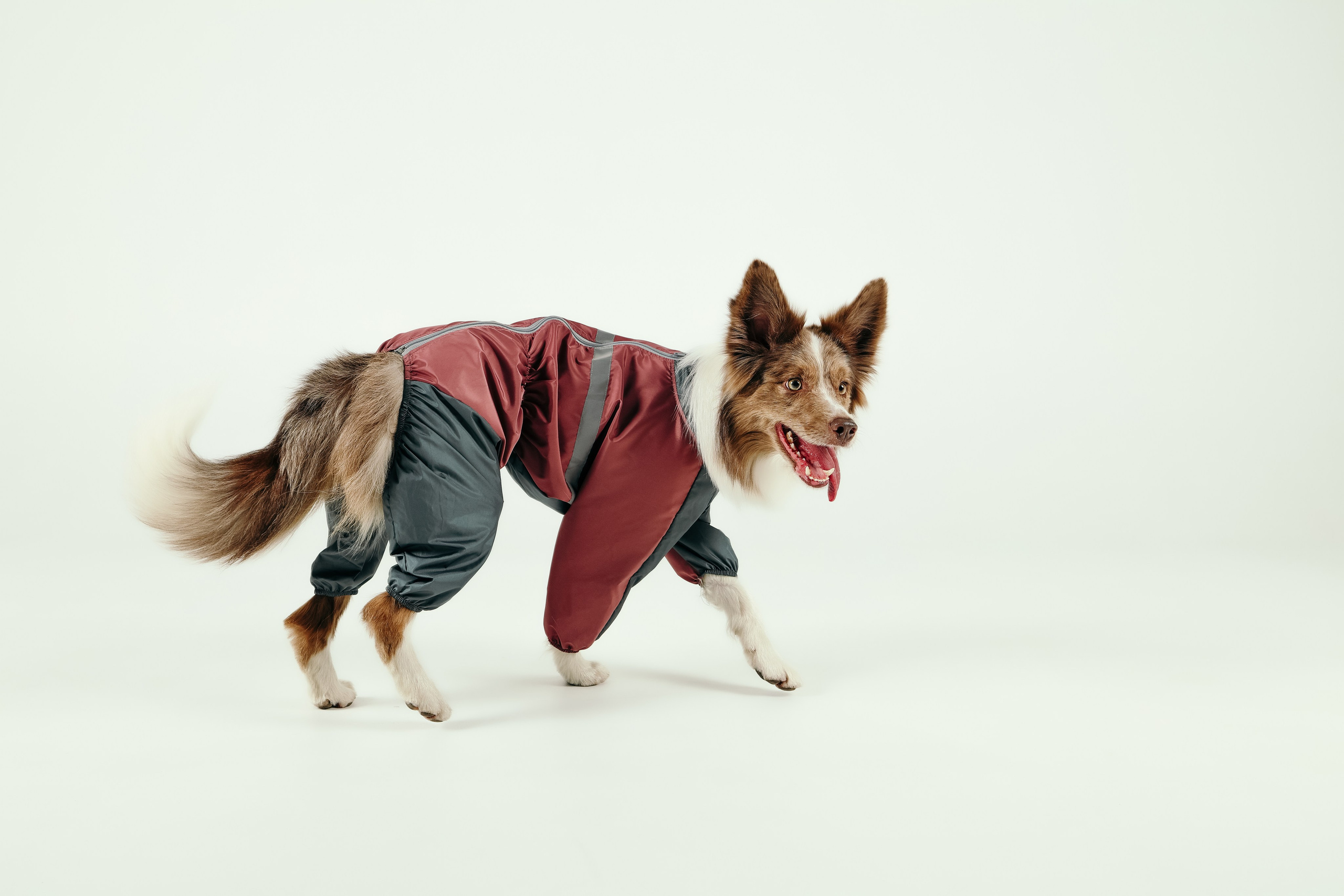 Для брендов. Фотограф- анималист Санкт-Петербург