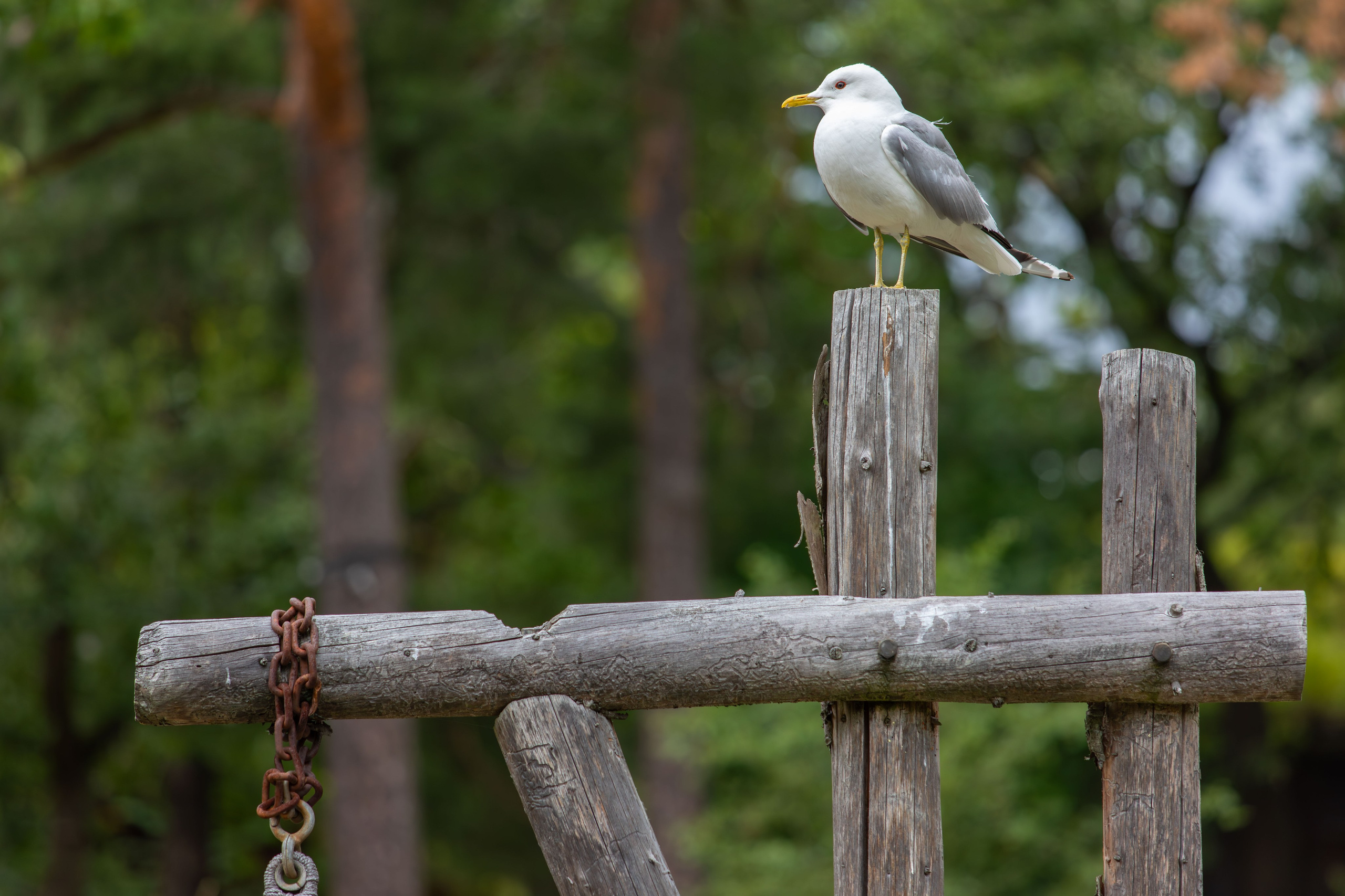 Sweden, Skansen. Воройская Анна