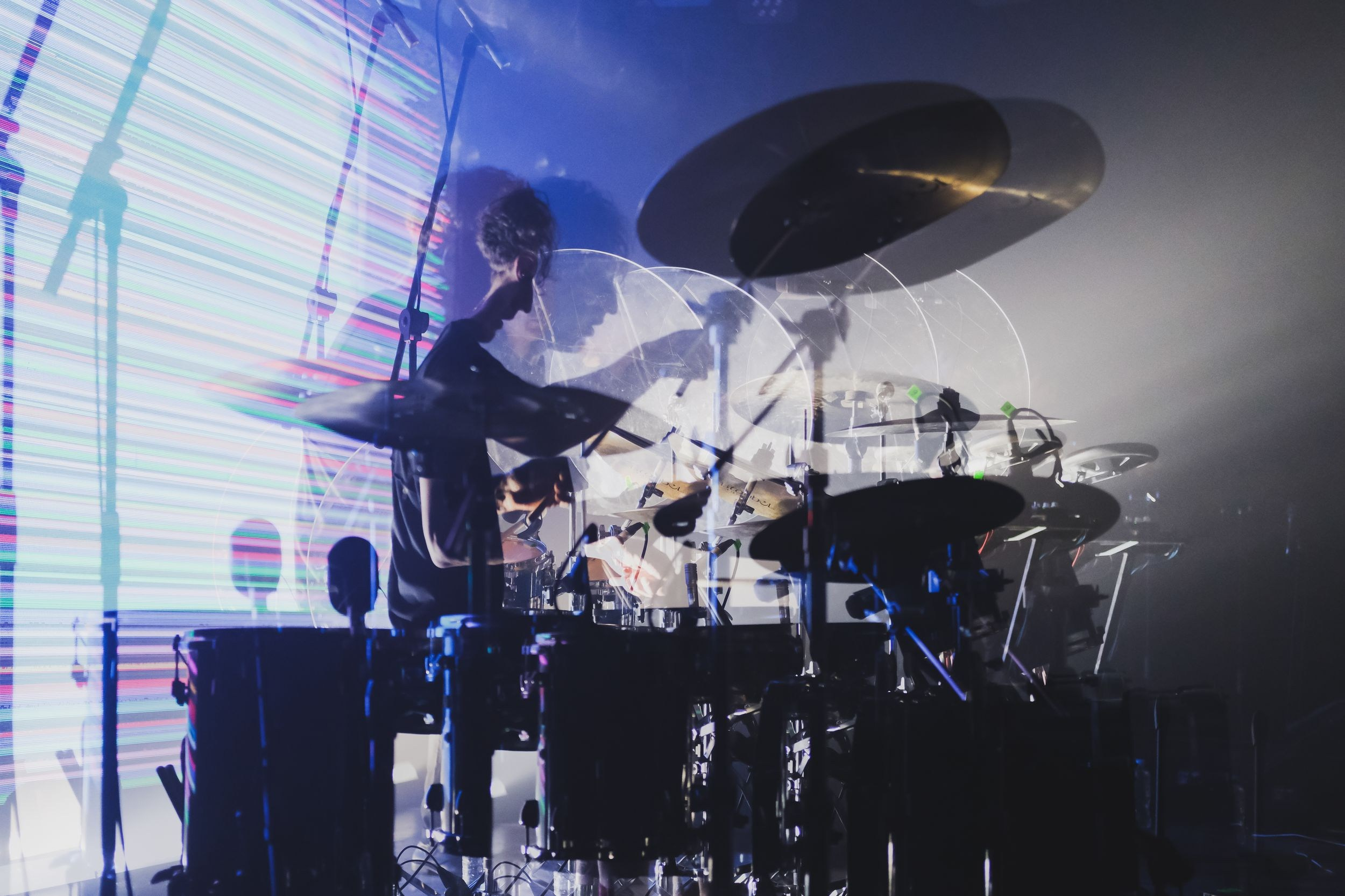 Дельфин. Репортажный фотограф Алексей Пирязев