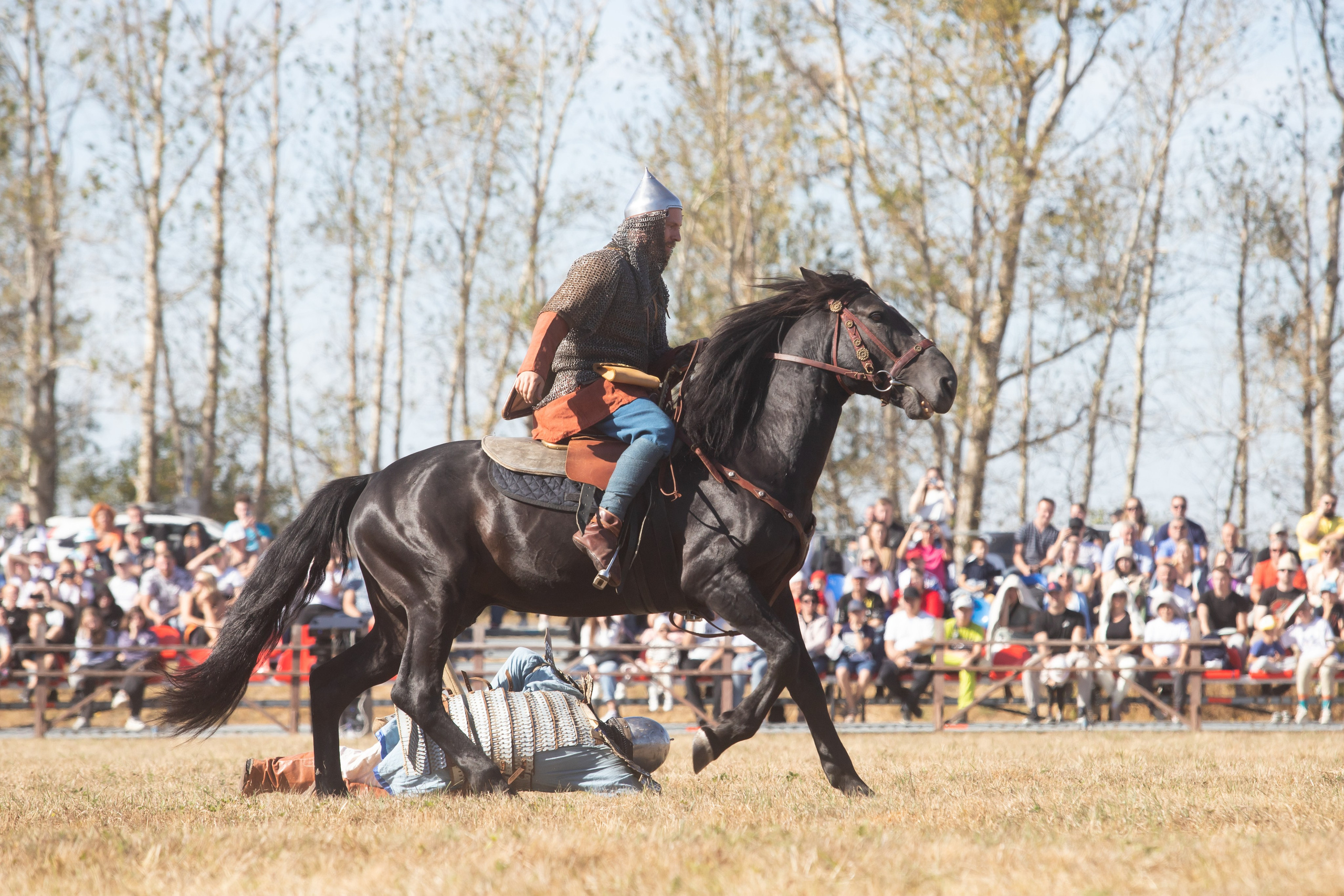 644-я годовщина Куликовской битвы (21 сентября 2024). Репортажный фотограф Алексей Пирязев