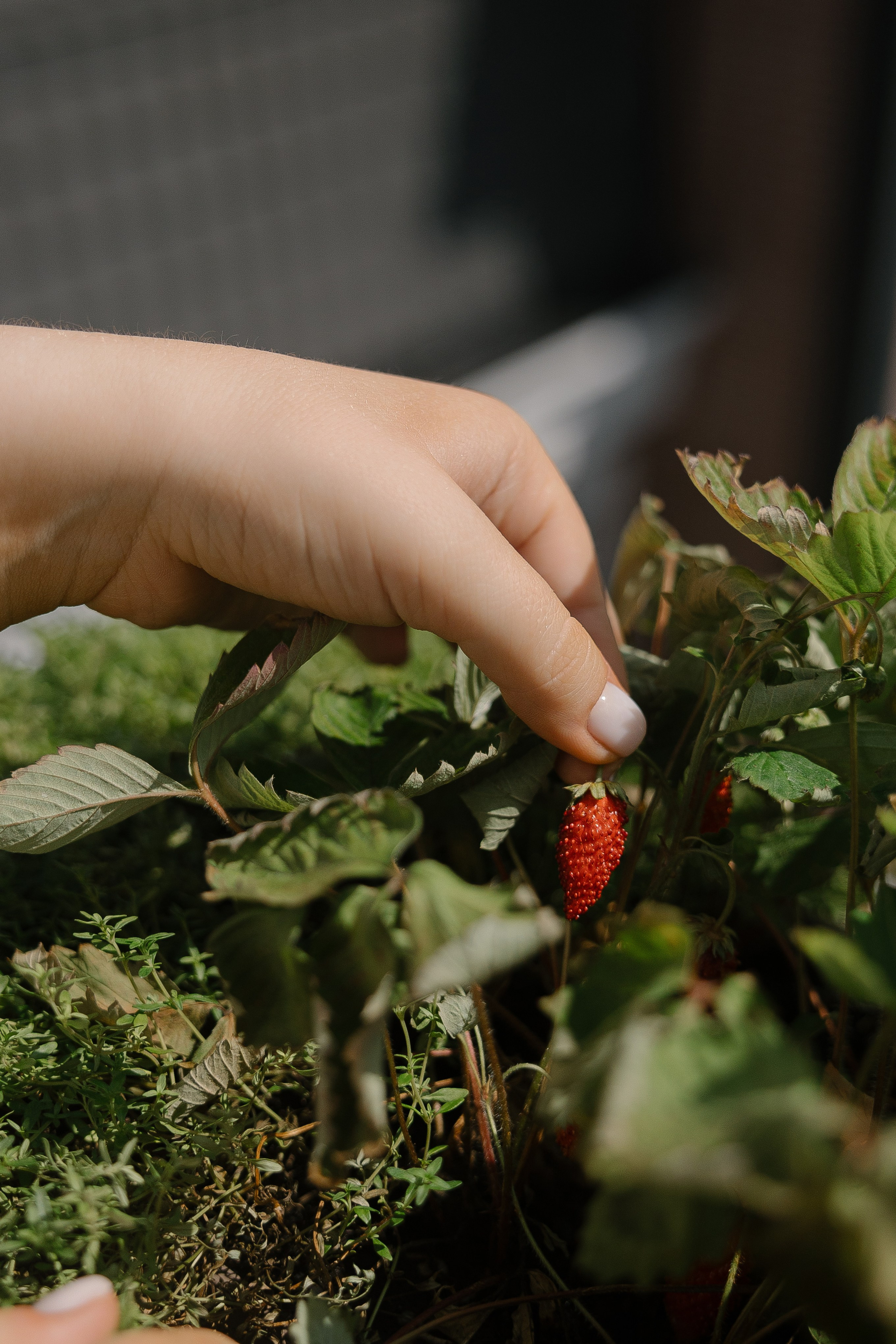 Easy. Главная