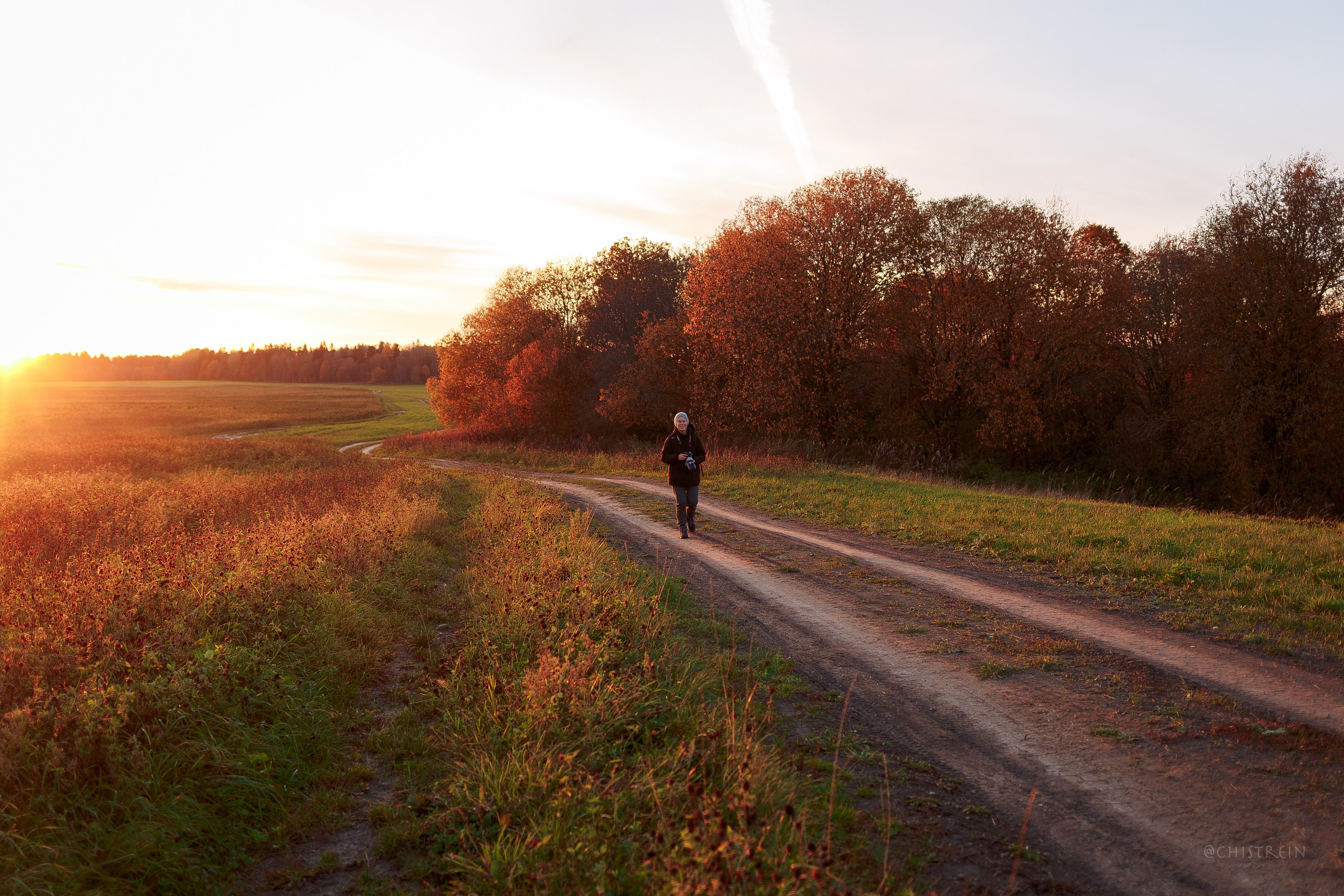 Октябрьский закат в полях. Алина и Лео. Фотограф-анималист Наталия Чистюхина в г. Сосновый Бор и ЛО