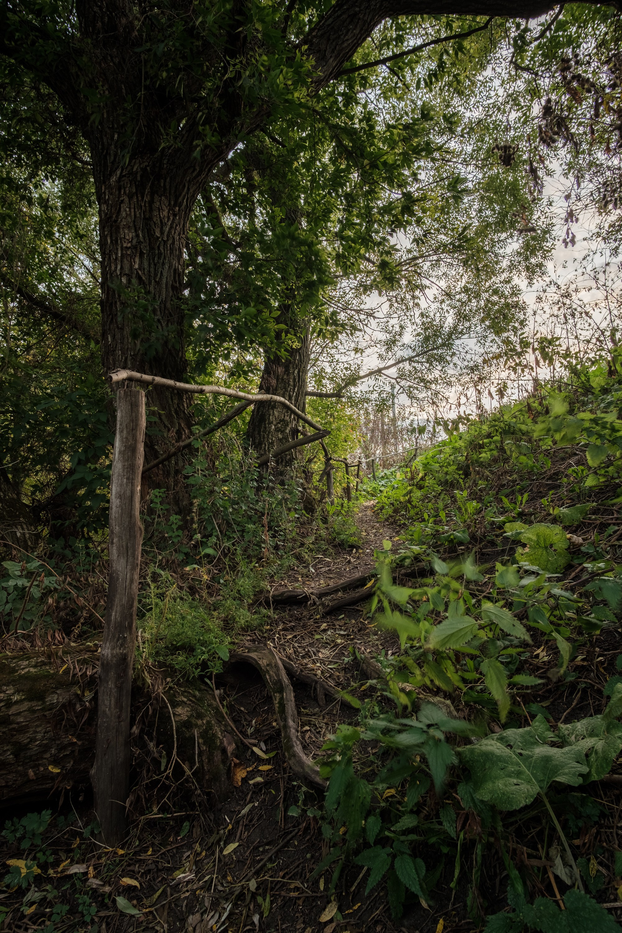 Нарышкино. Фотограф и видеооператор в Туле | Даниил Рыбак