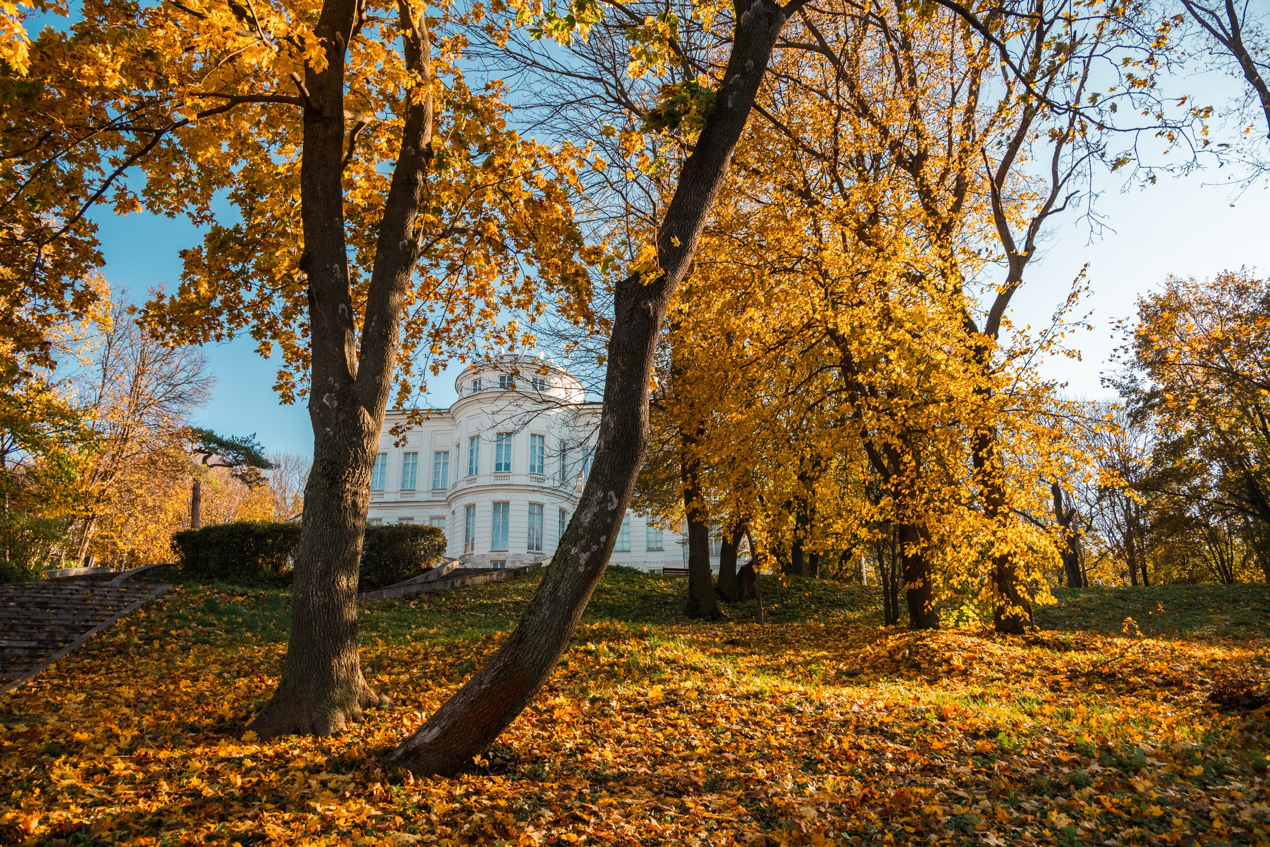 Дворец графов Бобринских в осеннем парке имени Болотова
