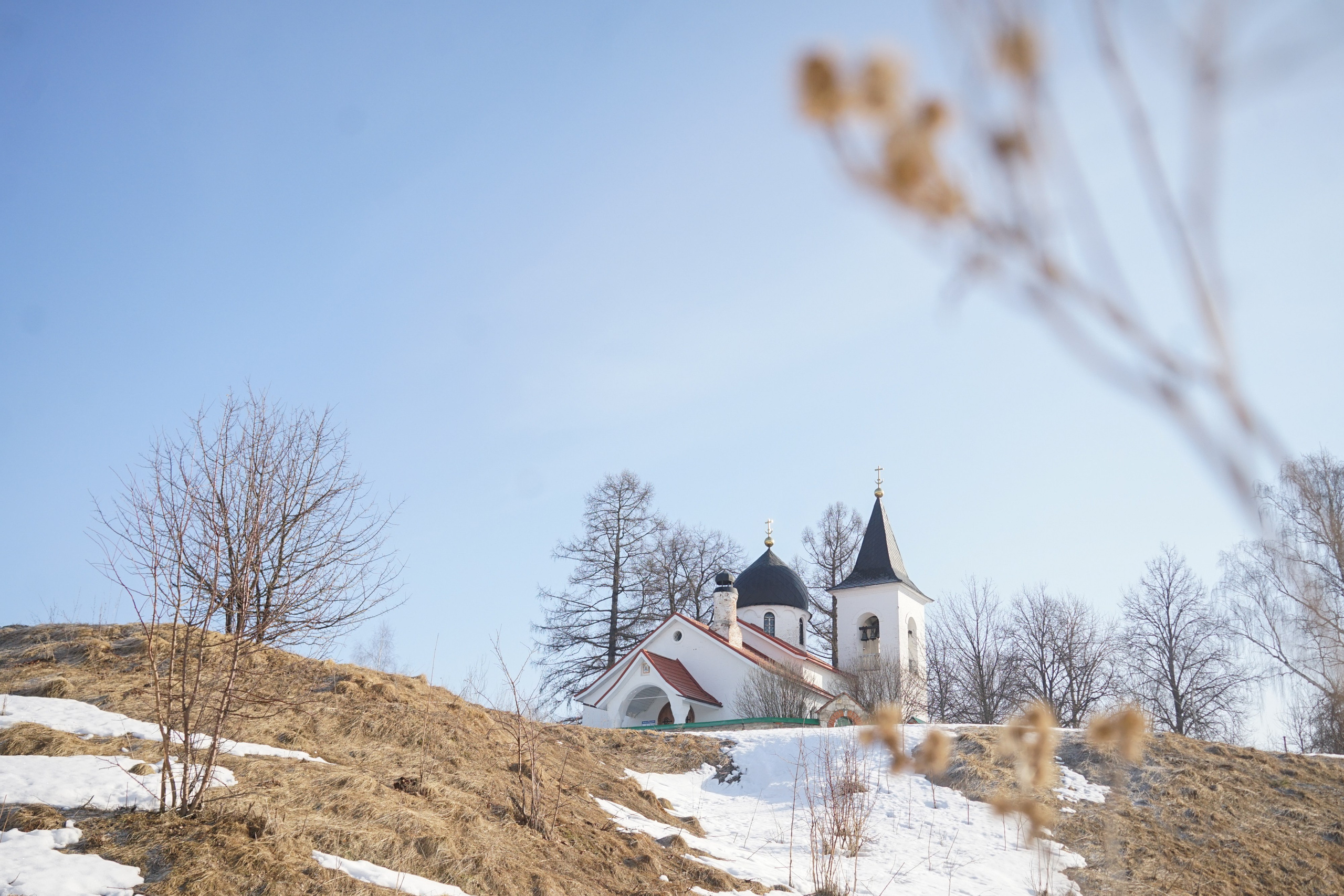 Бёхово. Лиза Фирстова — самый добрый фотограф