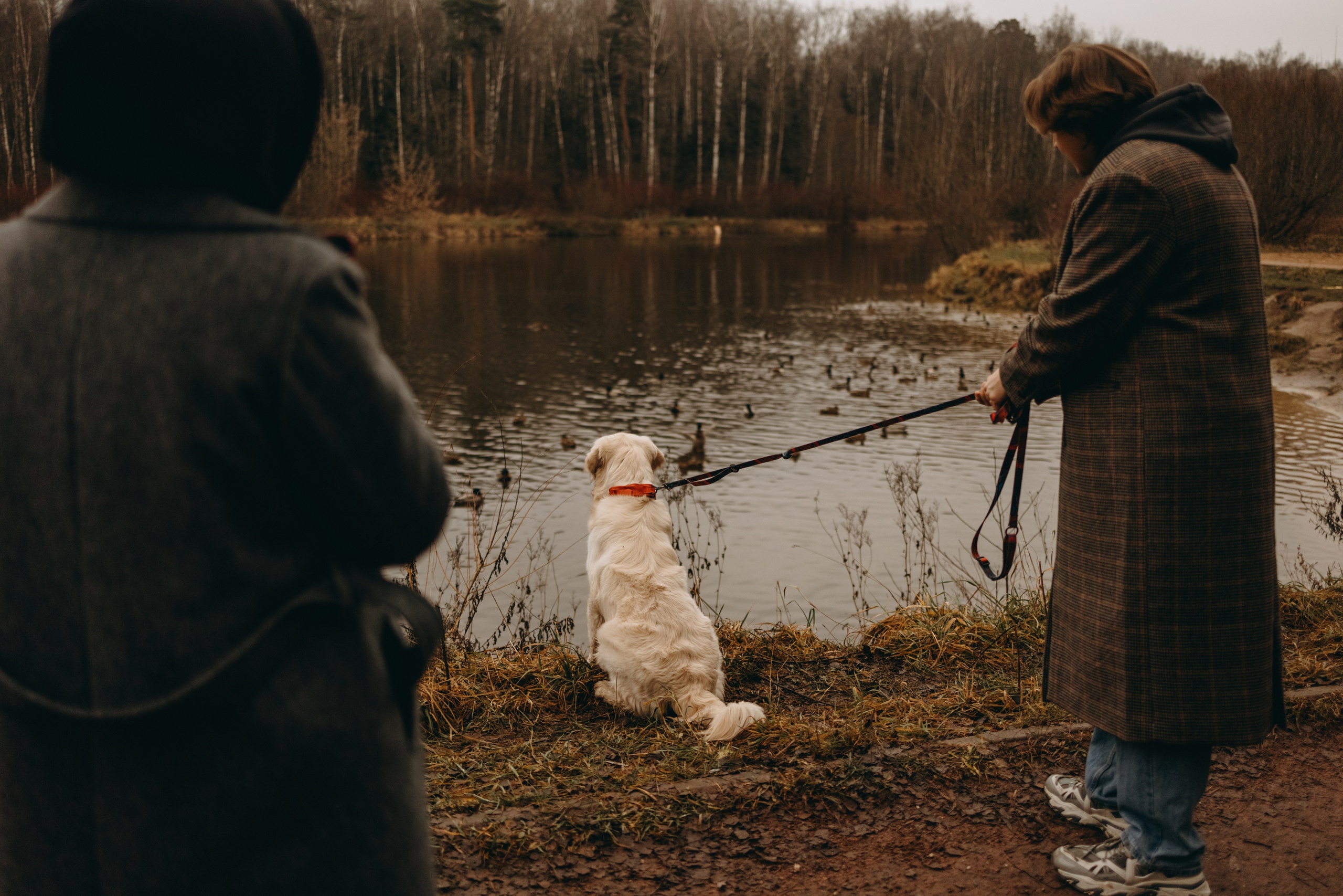 Лаки и его семья. Фотограф — Анималист | Санкт-Петербург