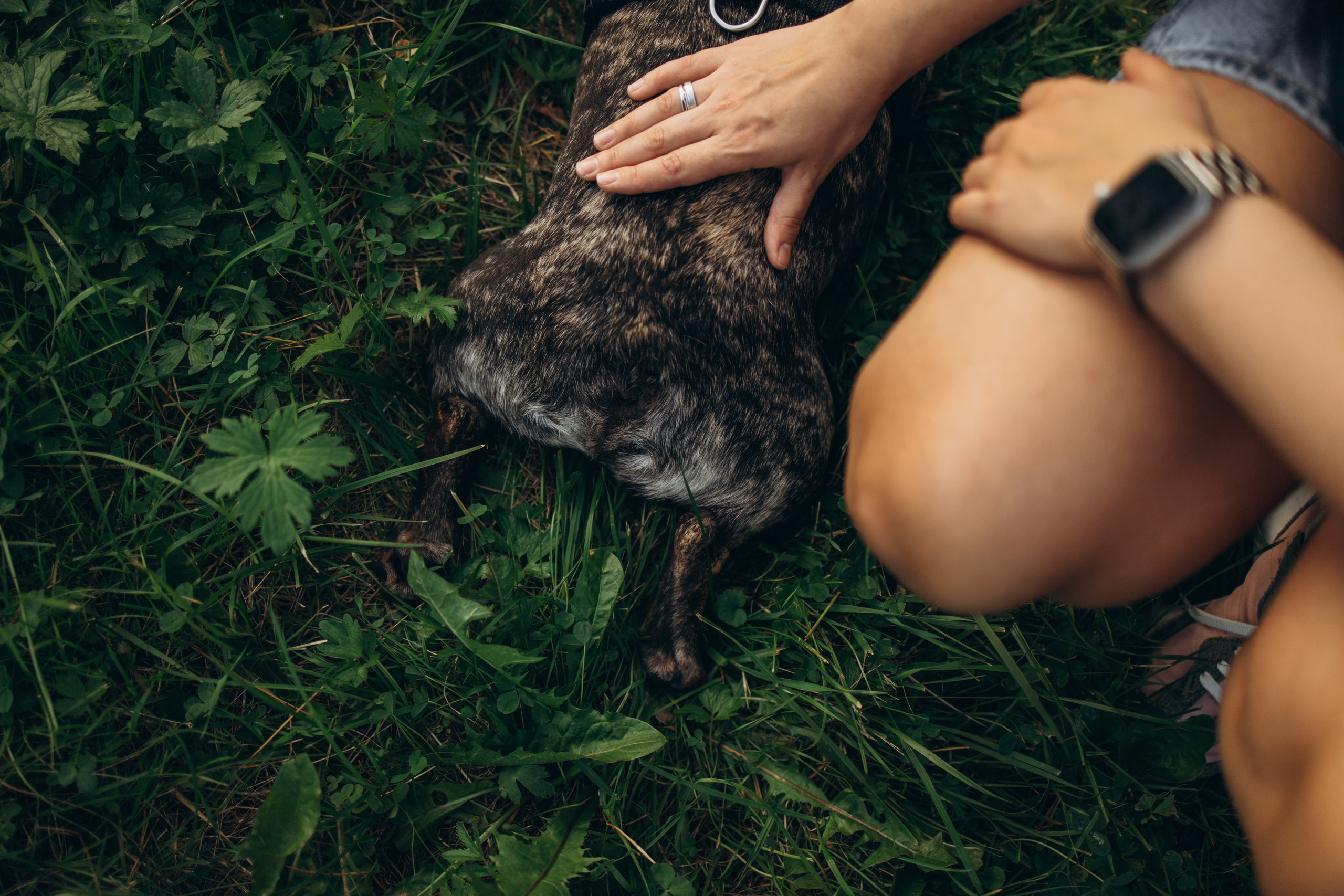 Олеся и Луи. Фотограф — Анималист | Санкт-Петербург