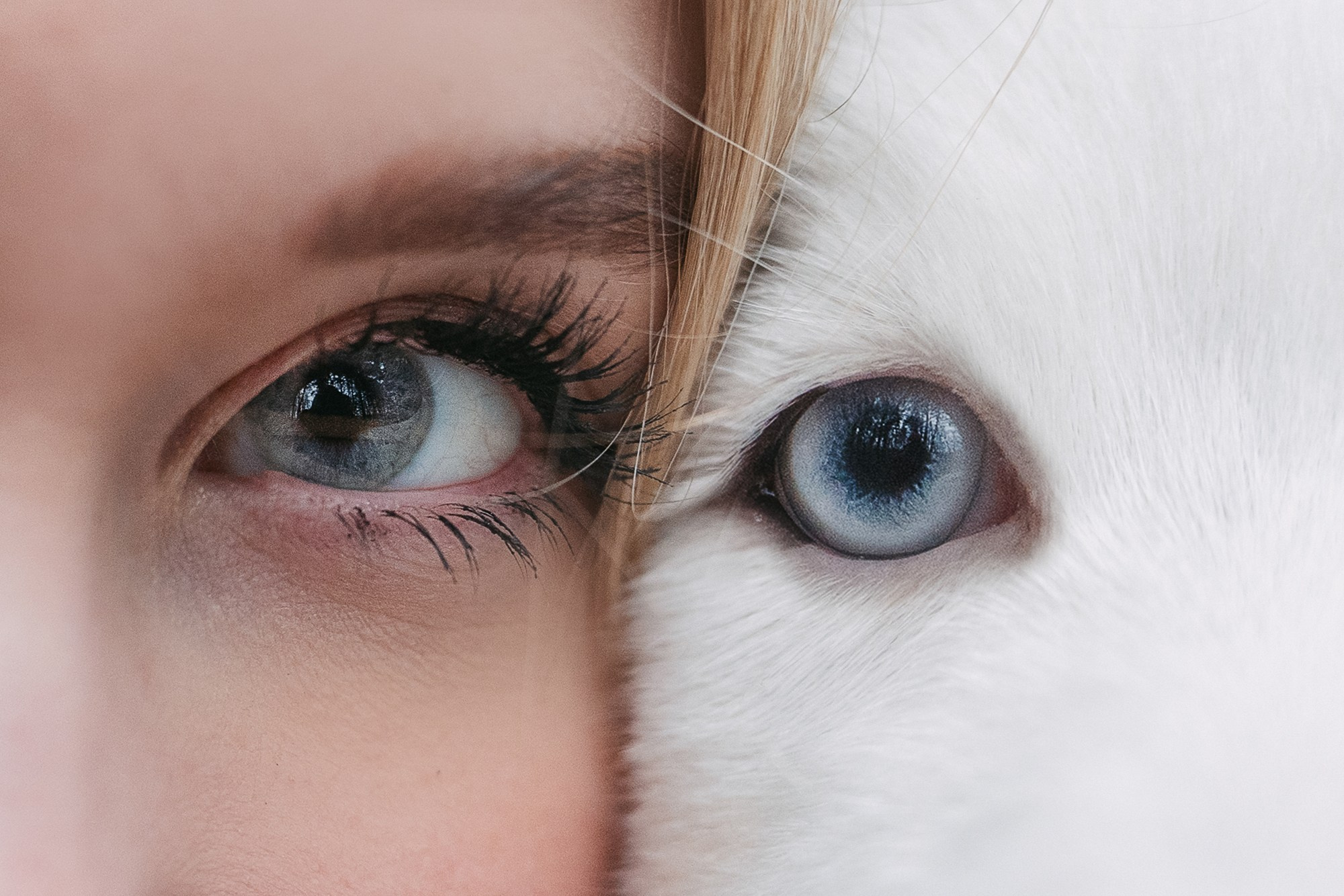 Лиза и Бублик. Фотограф анималист в Москве и Санкт-Петербурге Свиридова Анна