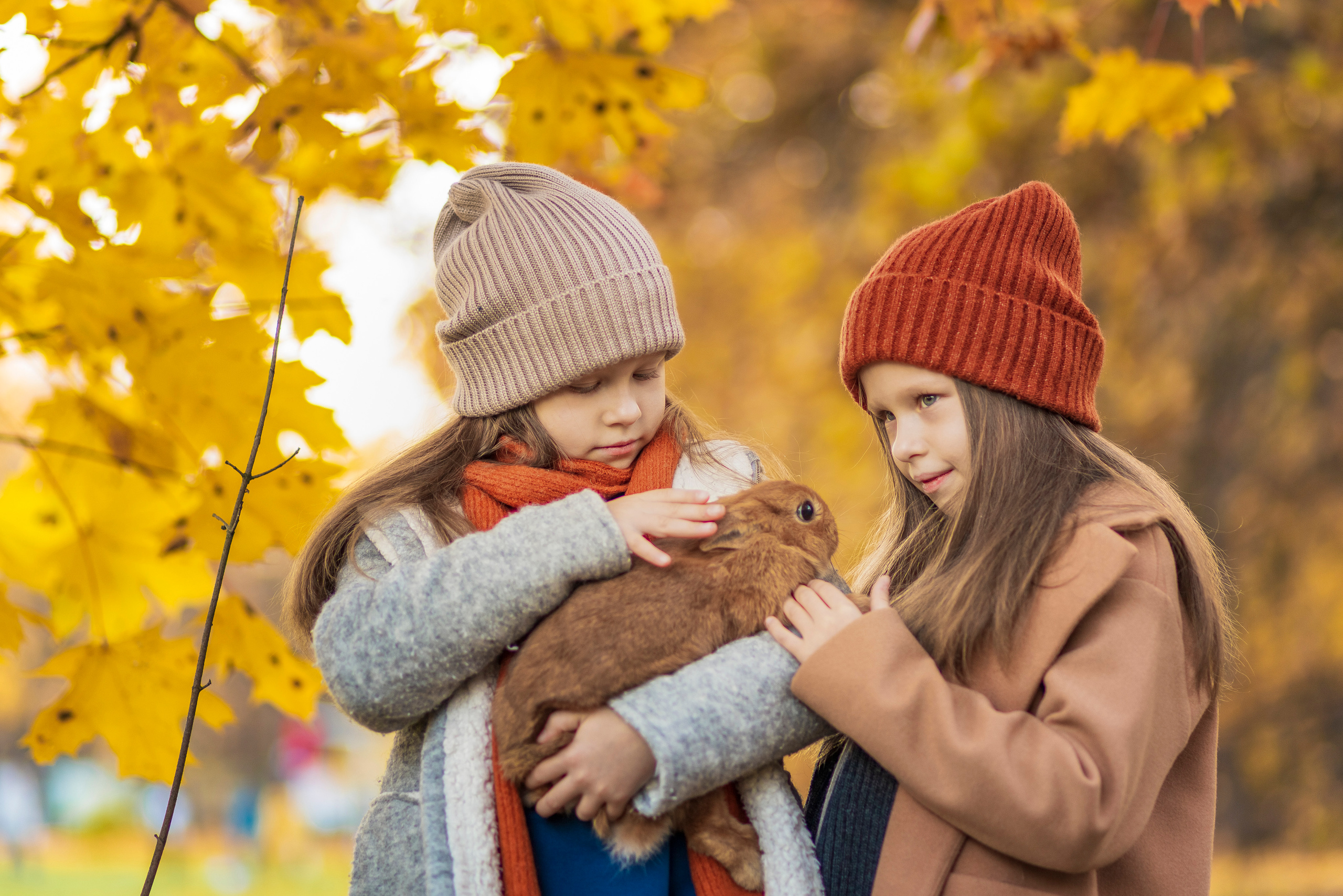 Фото прогулка золотая осень. Сьемка в детских садах и школах, фотограф в Москве Кристина Тупольская