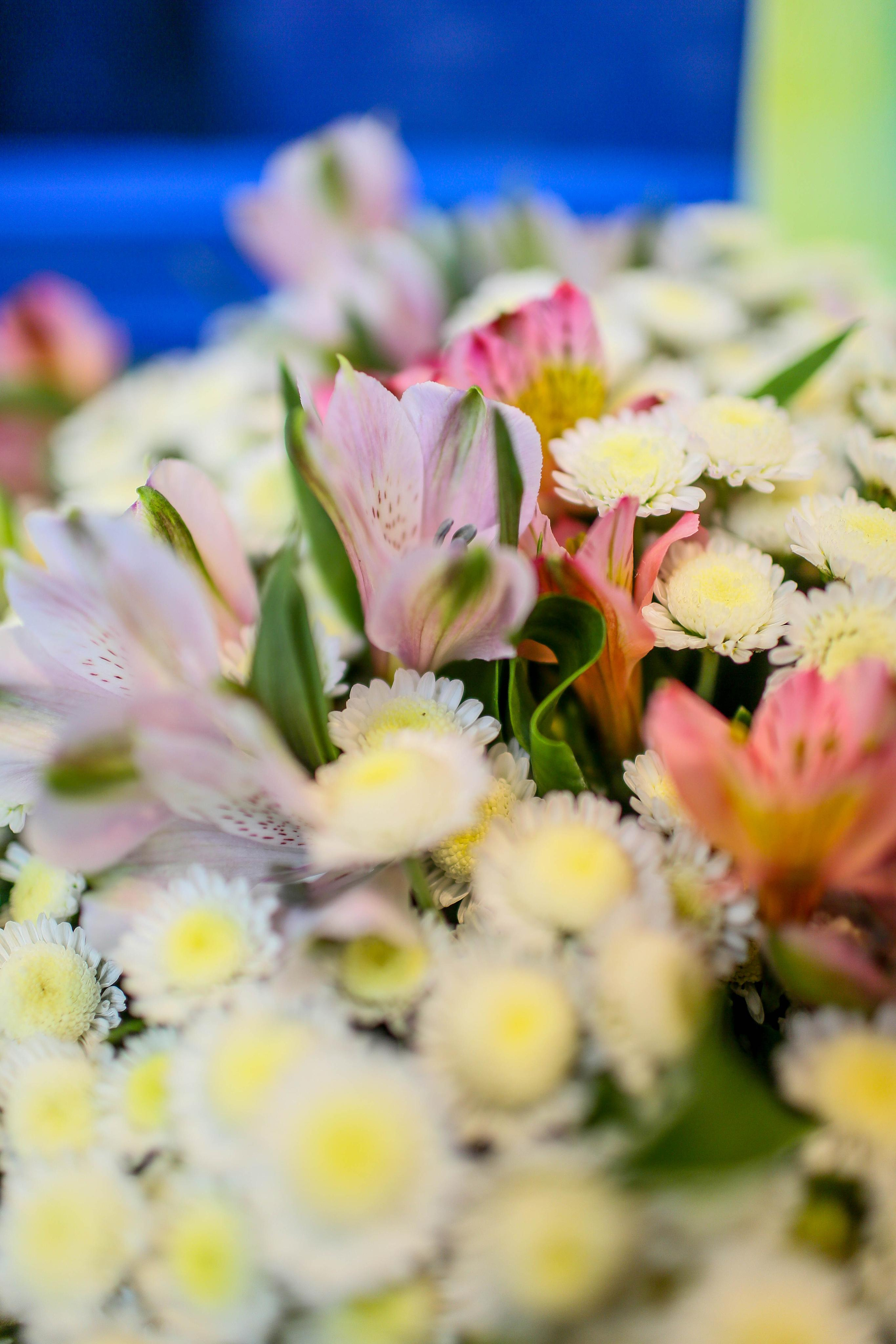 детская фотосессия в Санкт-Петербурге, фотограф Joky joya, детский и семейный фотограф и видеограф СПб. Фотограф на детский праздник в День Рождения в развлекательном центре Питера