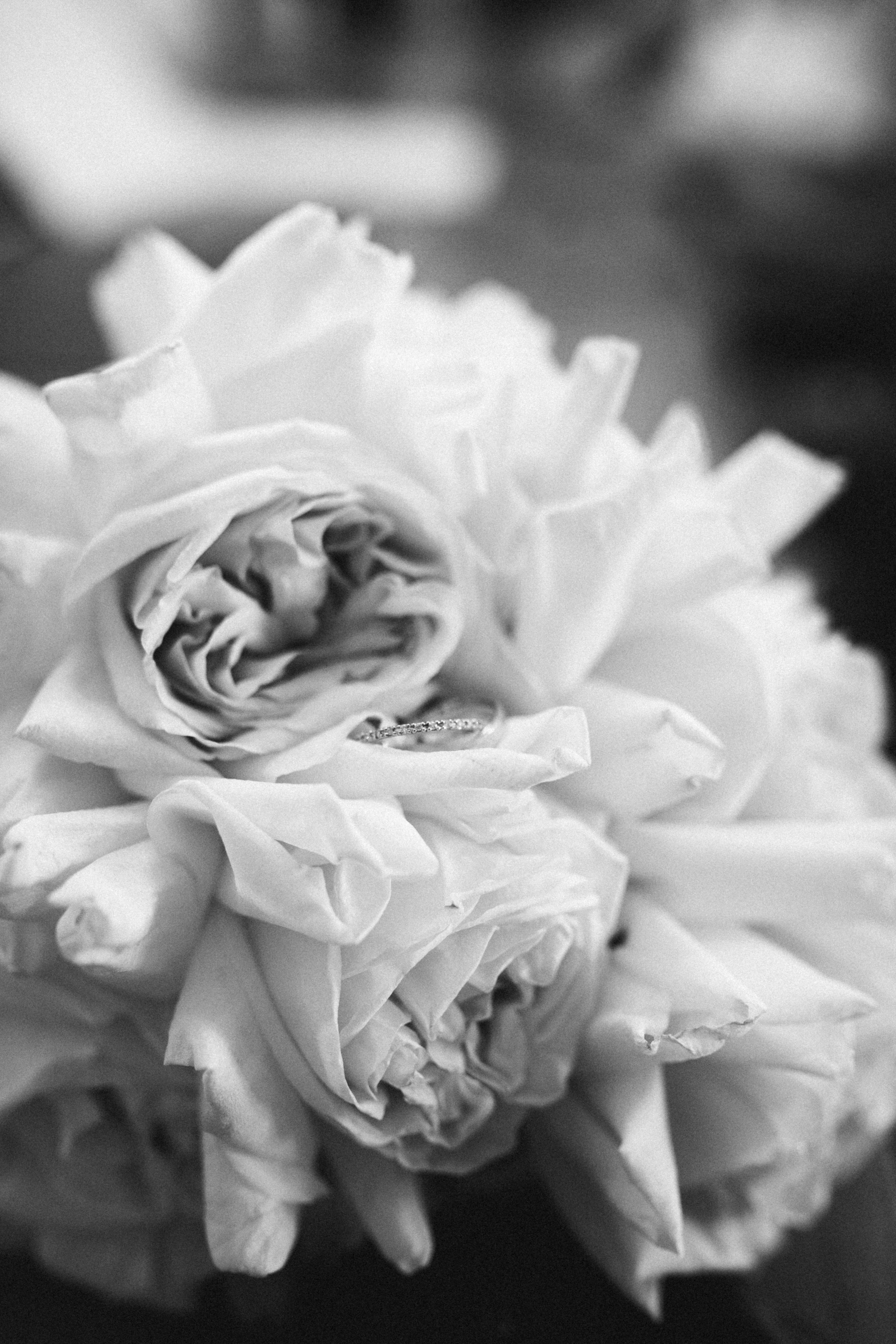 Свадебные съемки. Фотограф Анастасия Крутикова