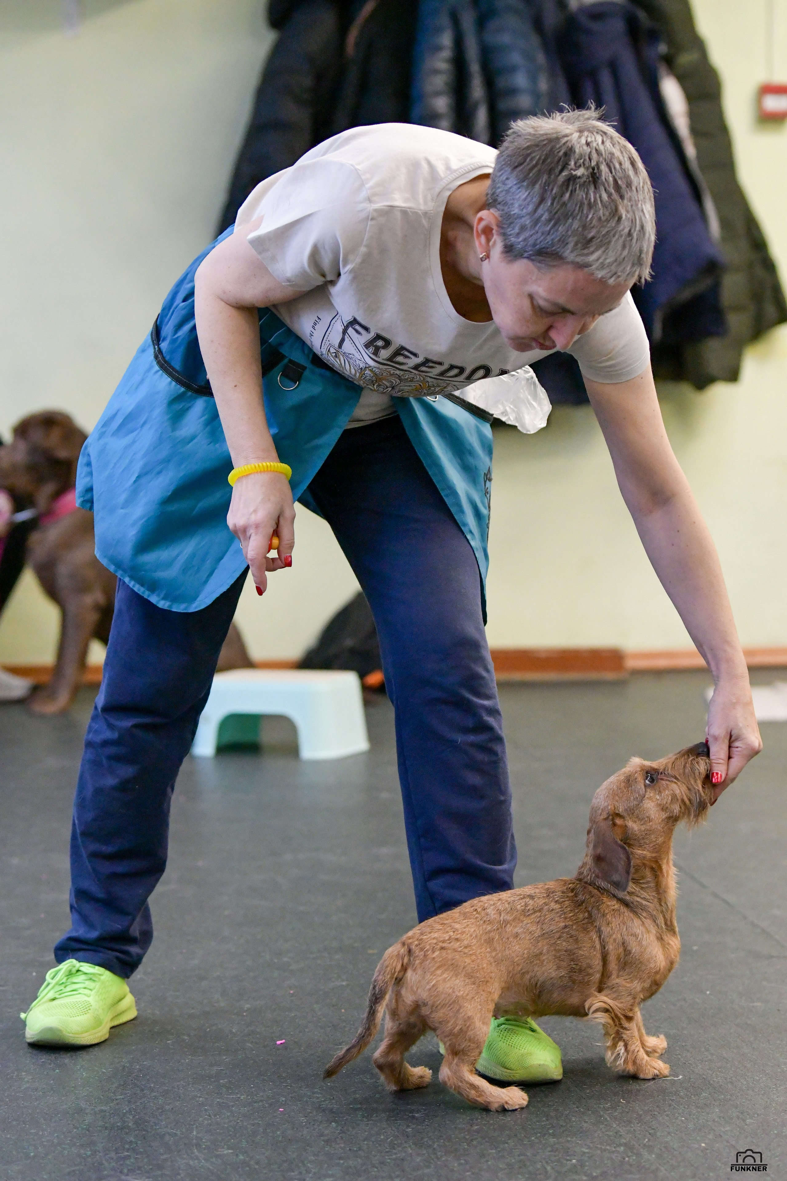 Кинологический клуб «Бодрый хвост». Свой взгляд через объектив